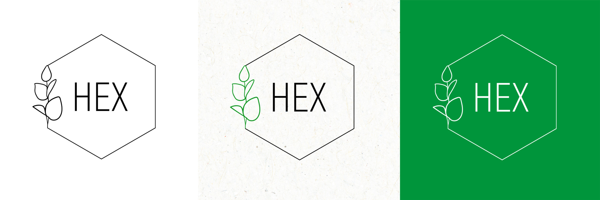 Sustainable Hair Studio Brand identity & Art Direction — Изображение №2 — Брендинг на Dprofile