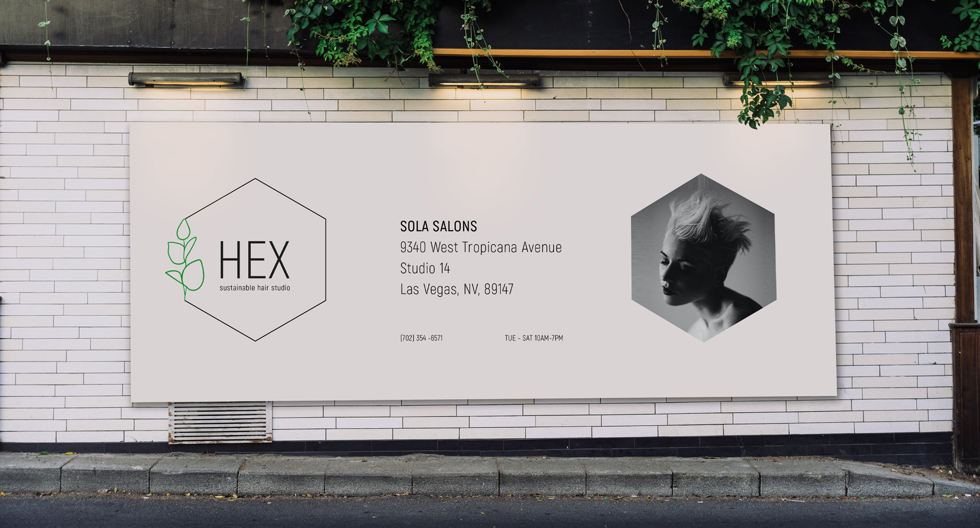 Sustainable Hair Studio Brand identity & Art Direction — Изображение №8 — Брендинг на Dprofile