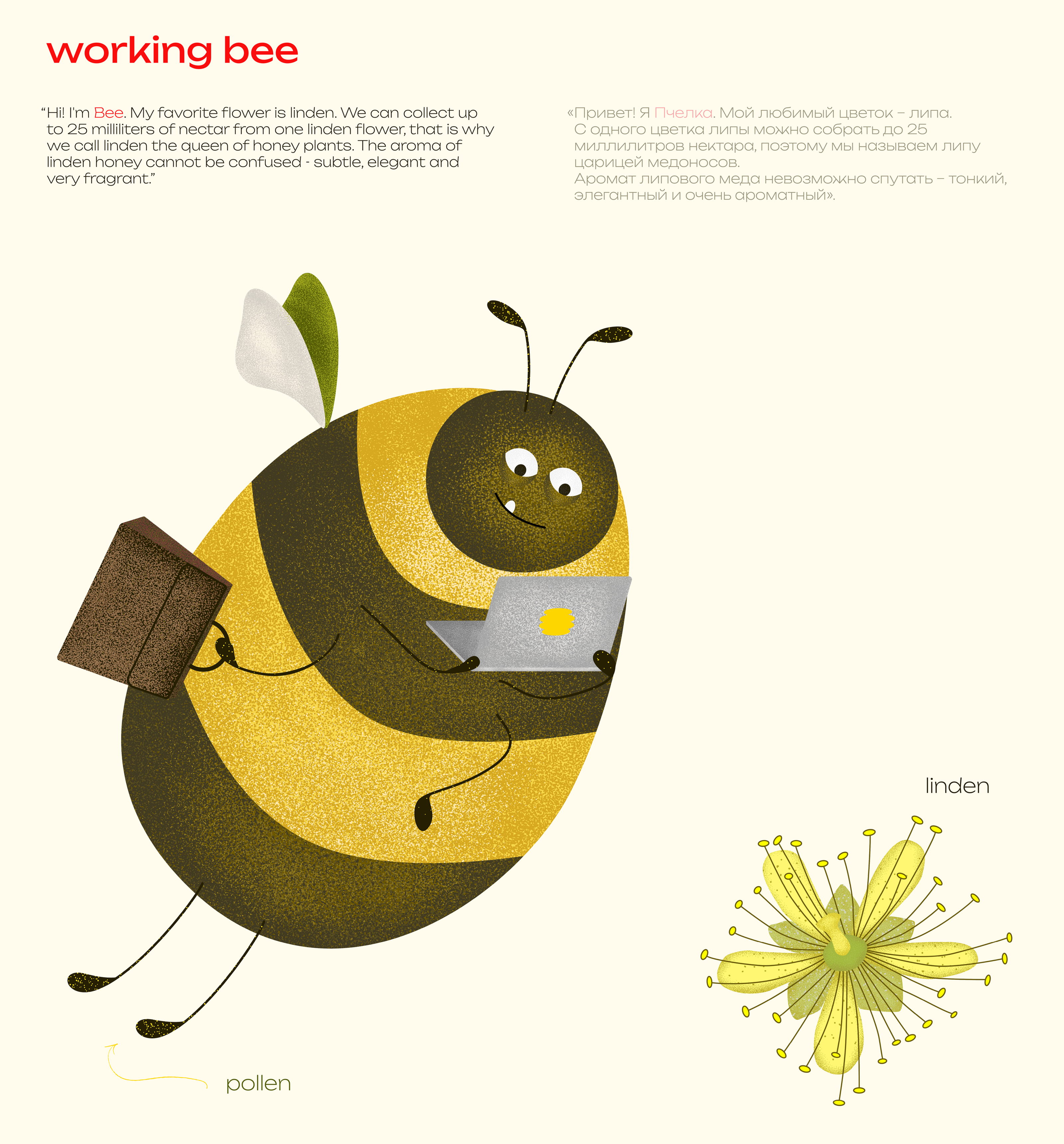 Bee Diary | дизайн упаковки меда | иллюстрации — Изображение №20 — Брендинг на Dprofile