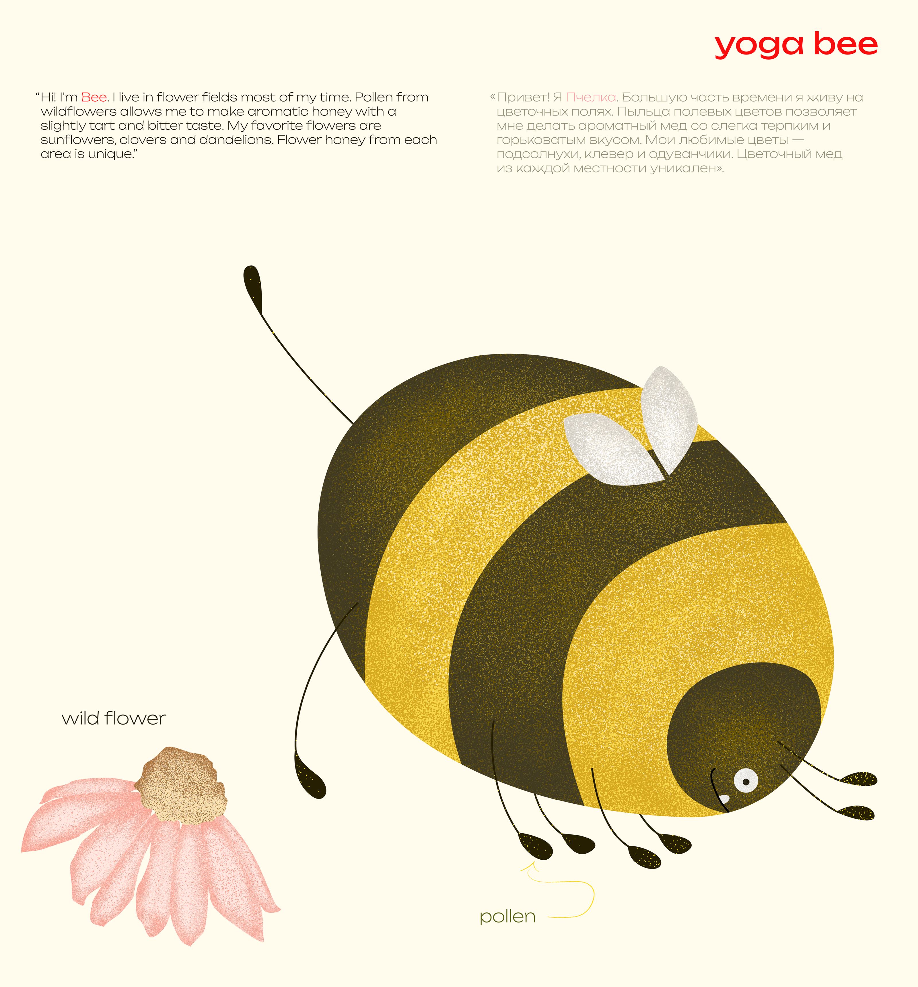 Bee Diary | дизайн упаковки меда | иллюстрации — Изображение №24 — Брендинг на Dprofile
