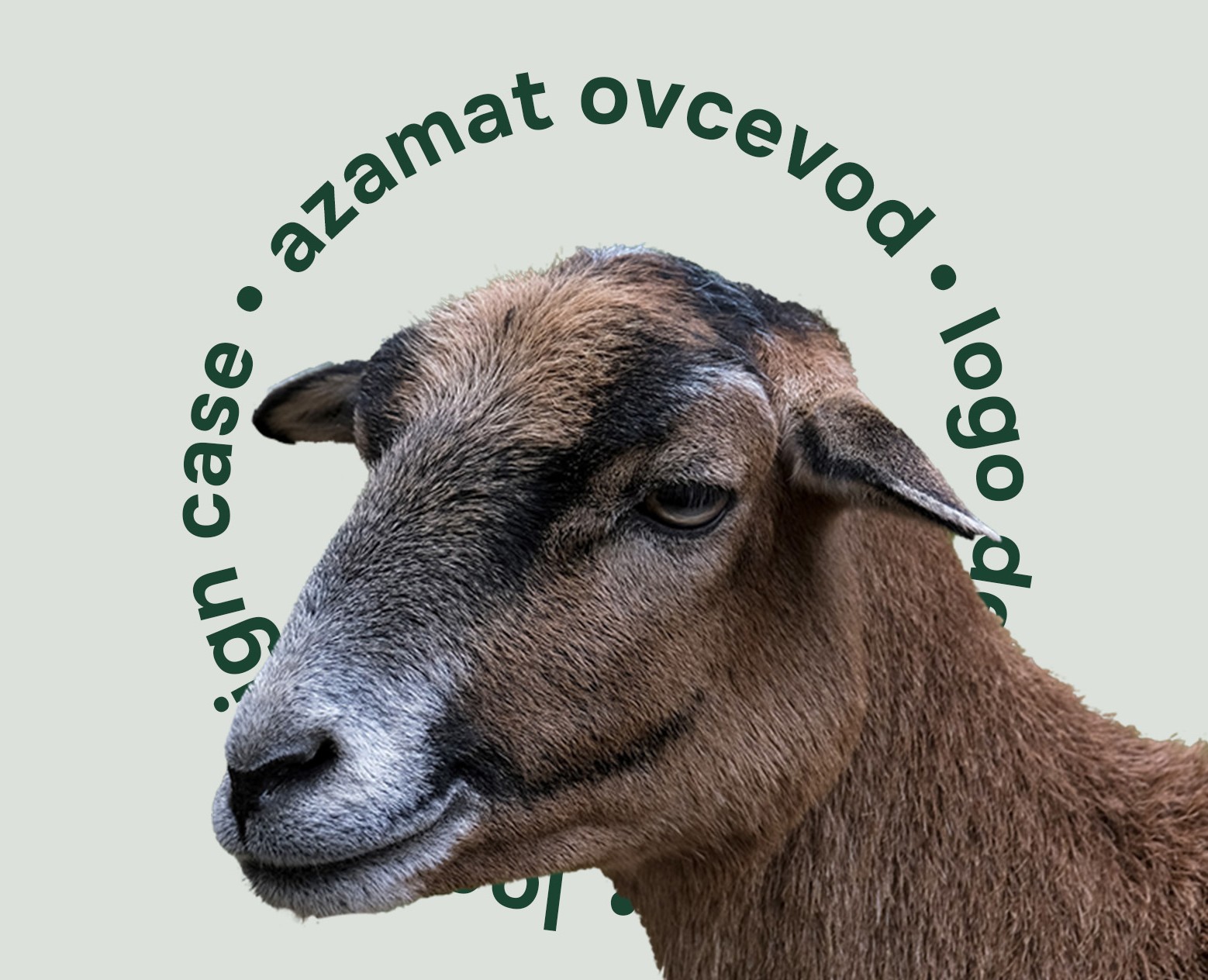 Azamat ovcevod - LOGO DESIGN — Брендинг, Графика на Dprofile