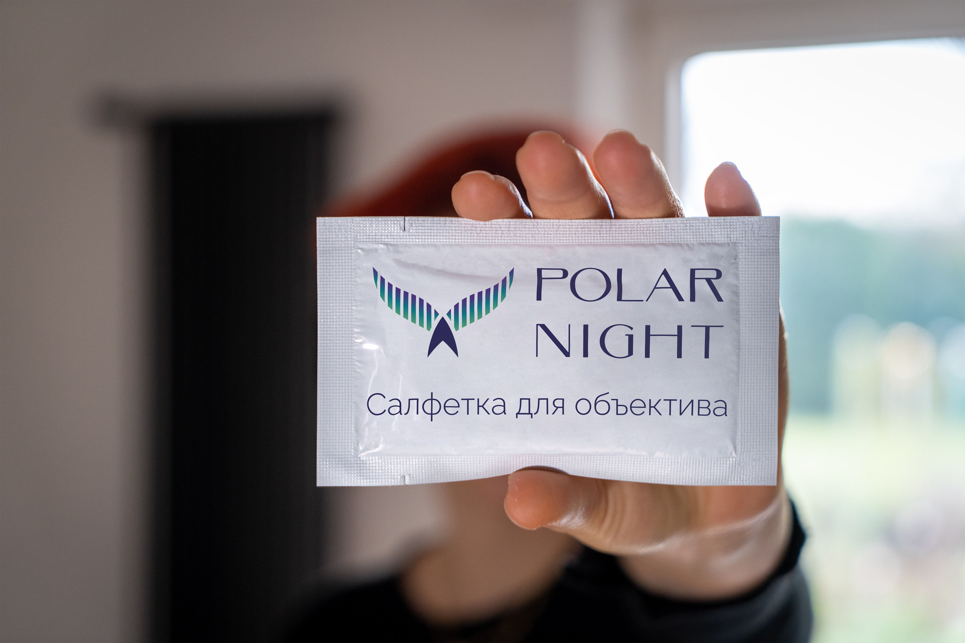 Polar night - Уникальные туры Мурманска и Териберки — Изображение №8 — Брендинг, Графика на Dprofile