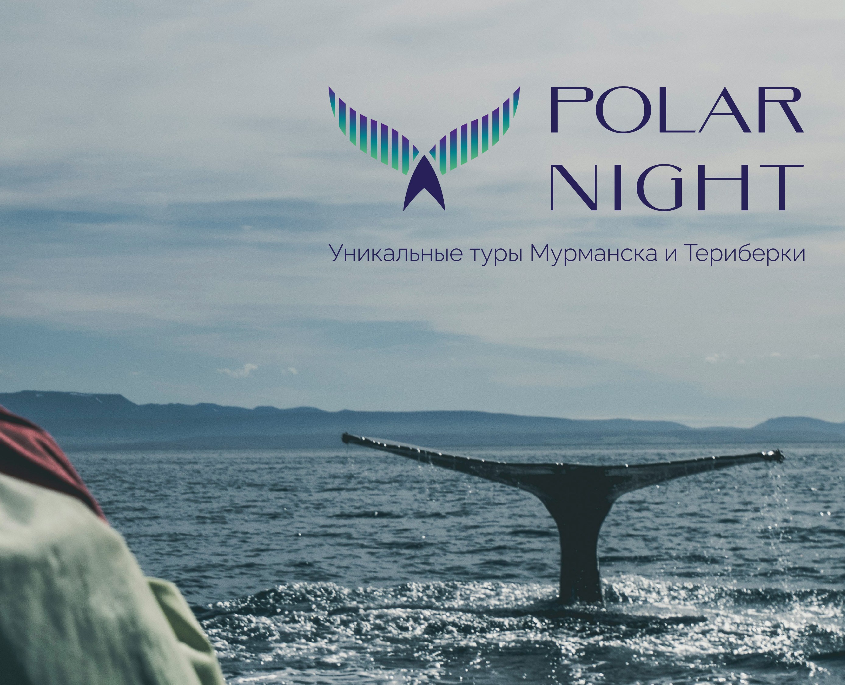 Polar night - Уникальные туры Мурманска и Териберки — Брендинг, Графика на Dprofile