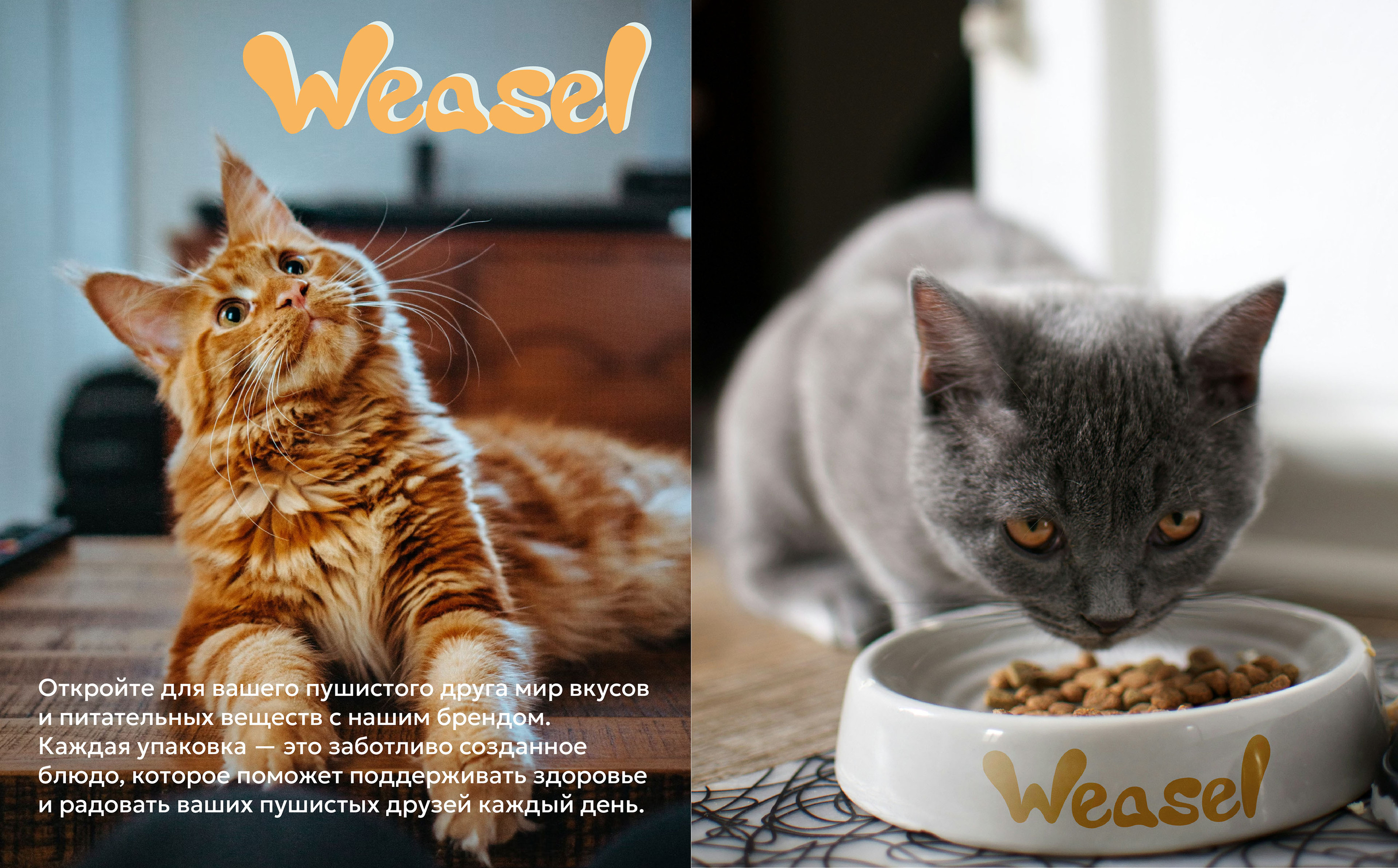 Weasel - Healthy cat food — Изображение №3 — Брендинг, Графика на Dprofile