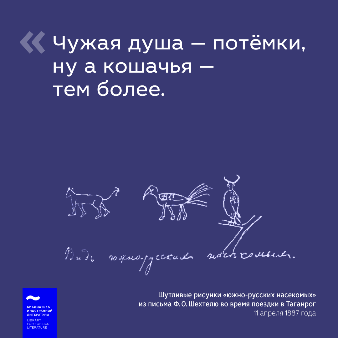 Дизайн карточек для социальных сетей «Иностранки» — Изображение №13 — Графика, Маркетинг на Dprofile