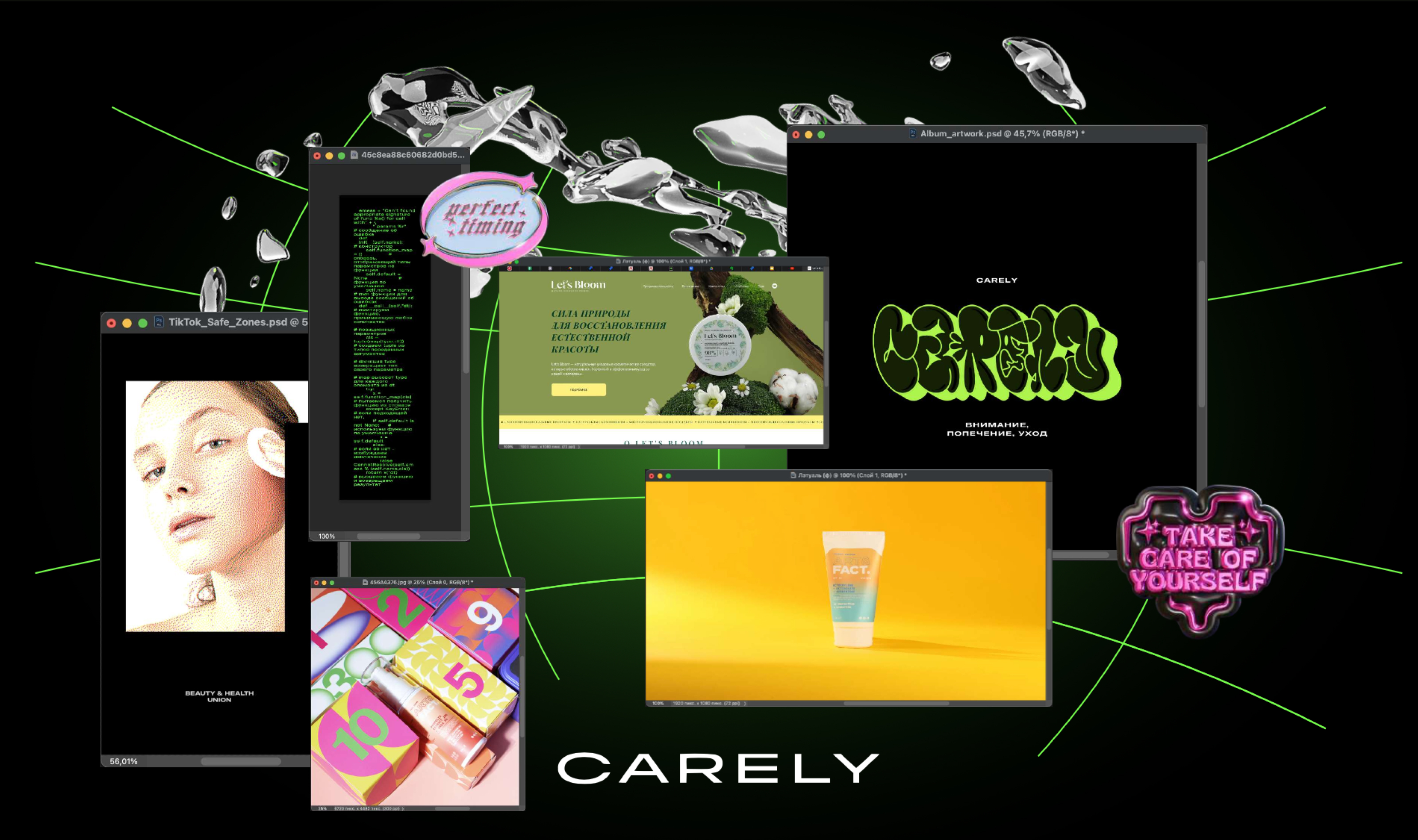 Carely — Изображение №1 — Брендинг на Dprofile