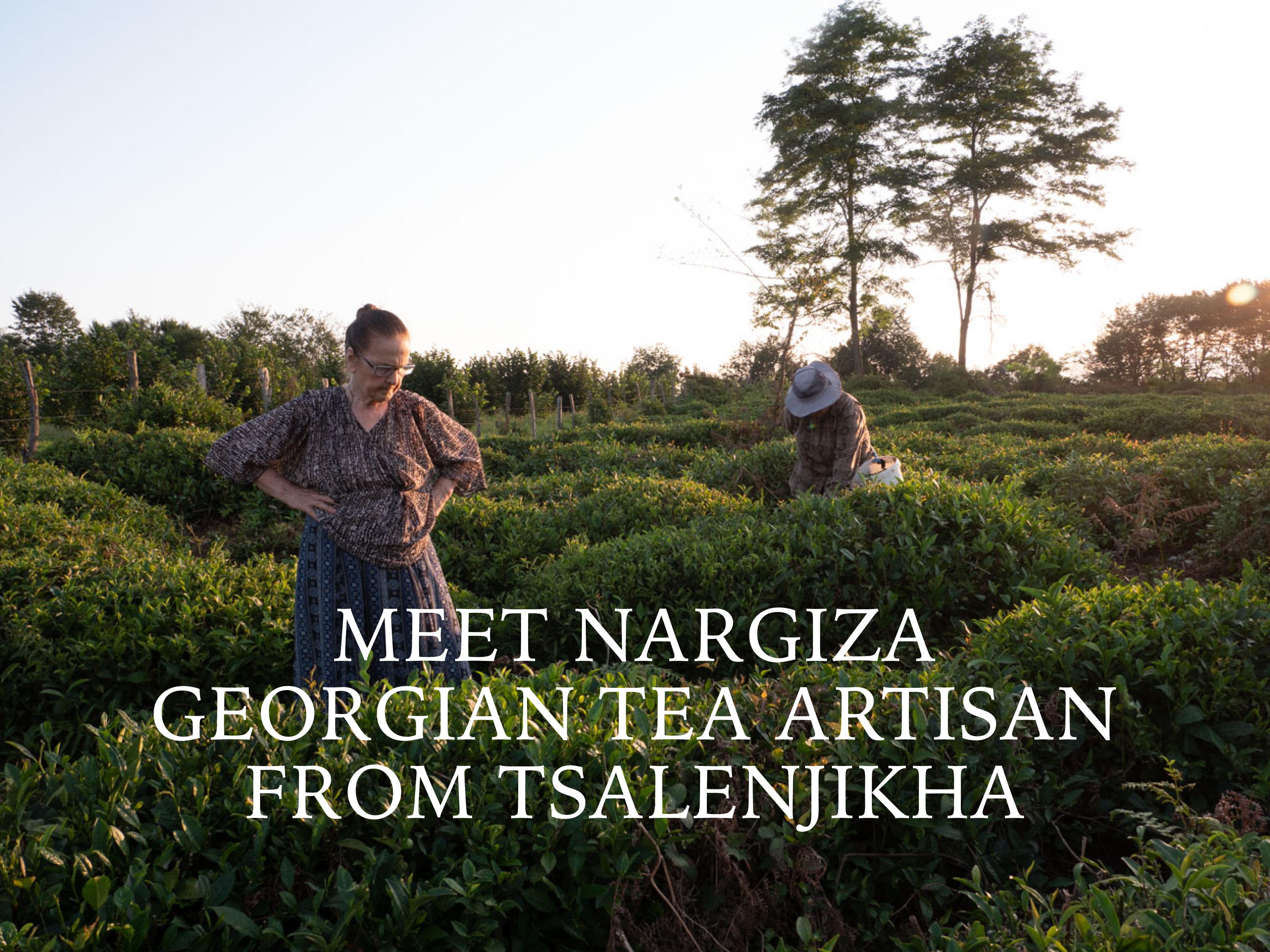 Nargiza's tea — Изображение №1 — Брендинг, Графика на Dprofile