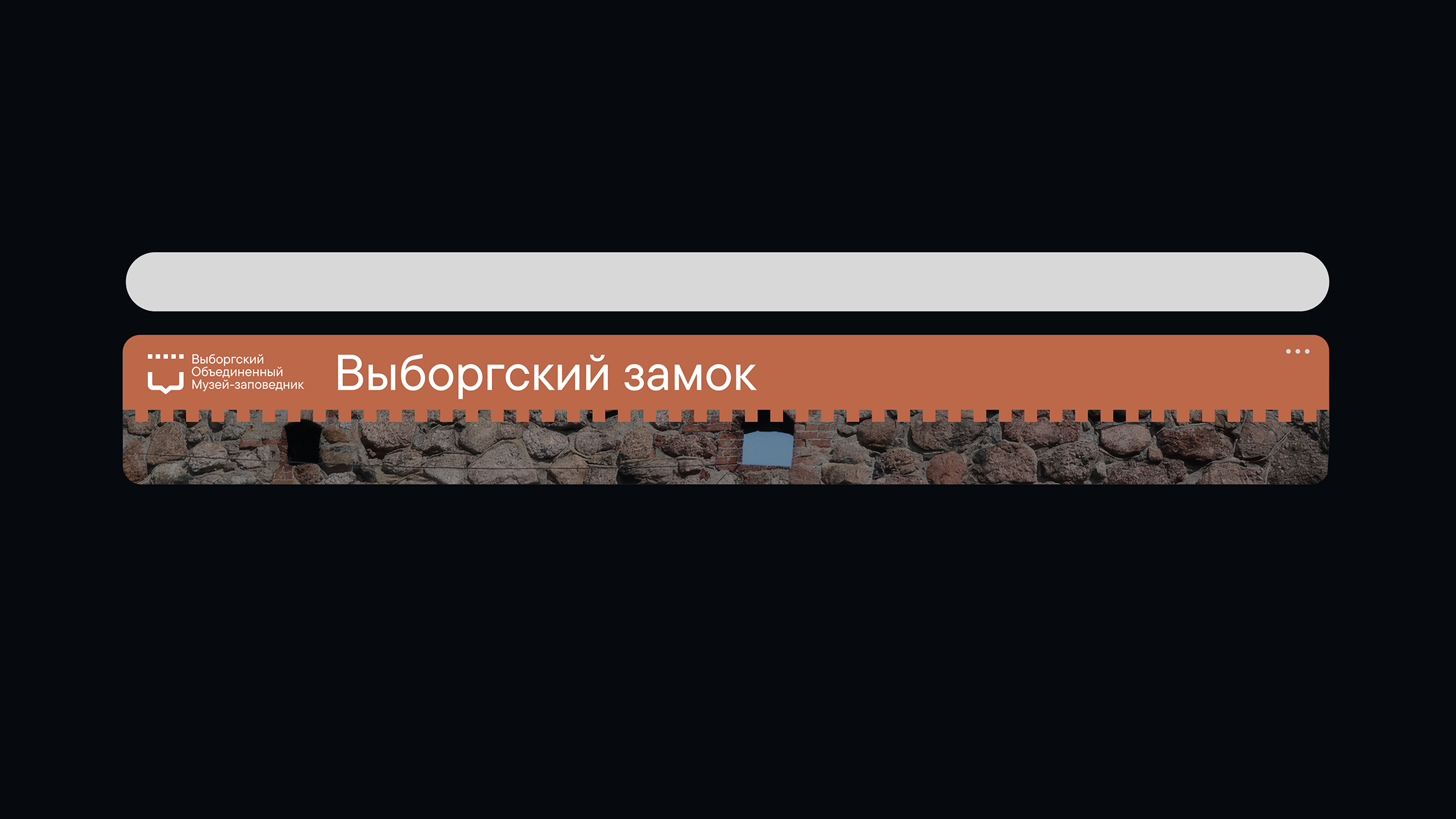Ребрендинг Выборгского объединенного музея-заповедника — Изображение №6 — Брендинг, Графика на Dprofile