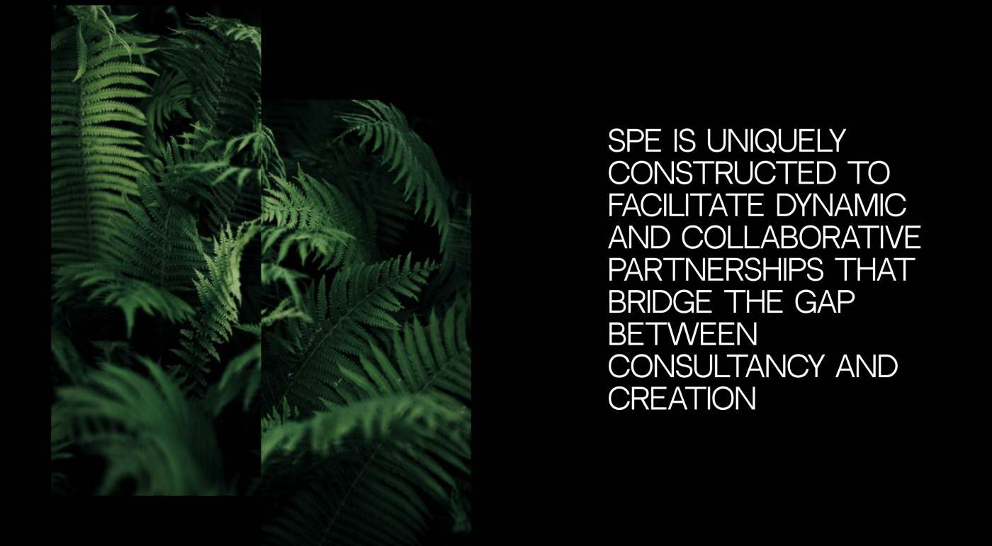 Spe.studio Website — Изображение №4 — Интерфейсы, Брендинг на Dprofile