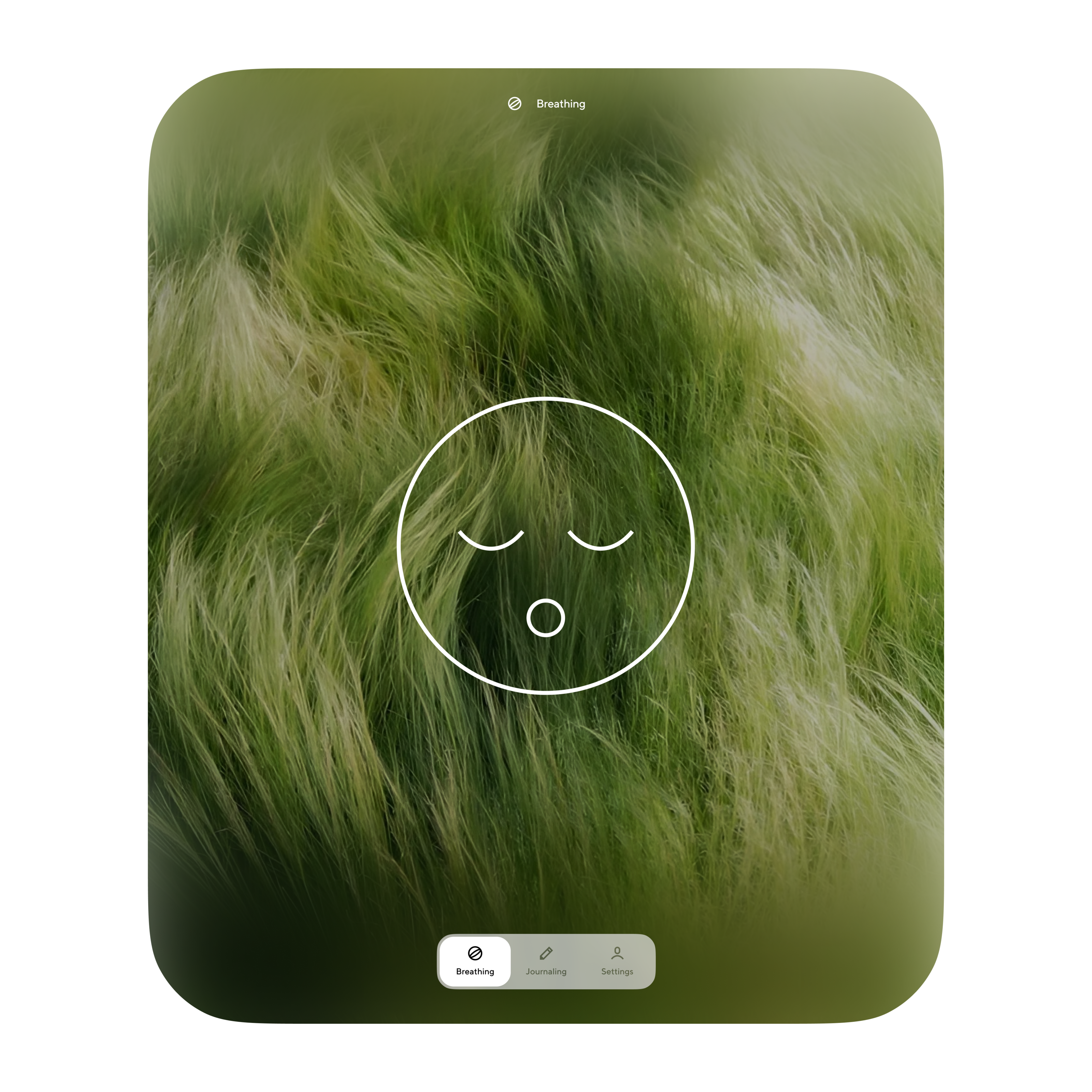 Breathhh — Wellbeing Mobile App & Website — Изображение №5 — Интерфейсы, Анимация на Dprofile