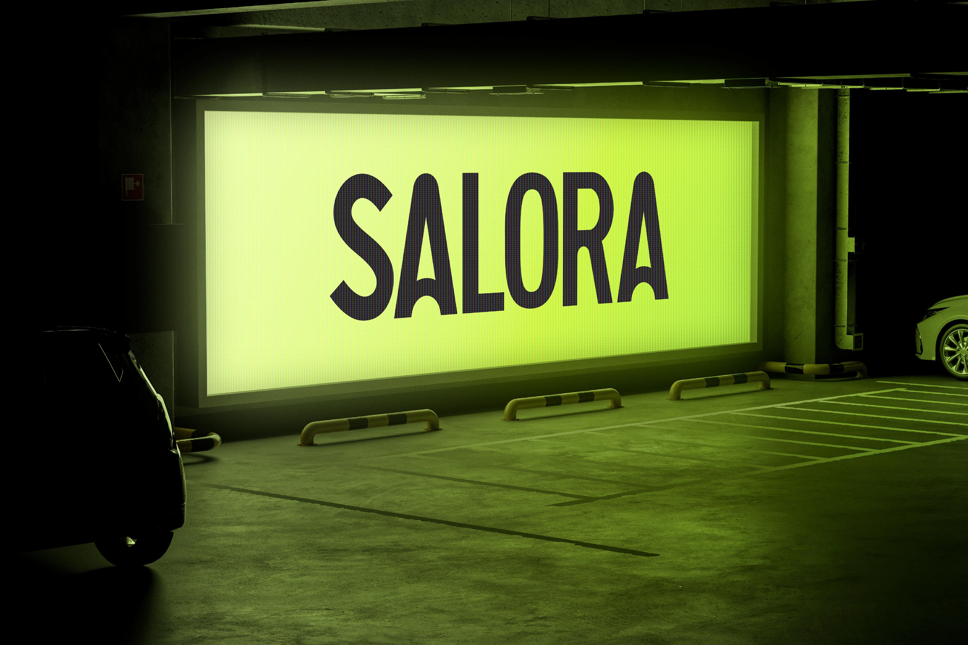 SALORA APP LOGO — Изображение №5 — Брендинг на Dprofile