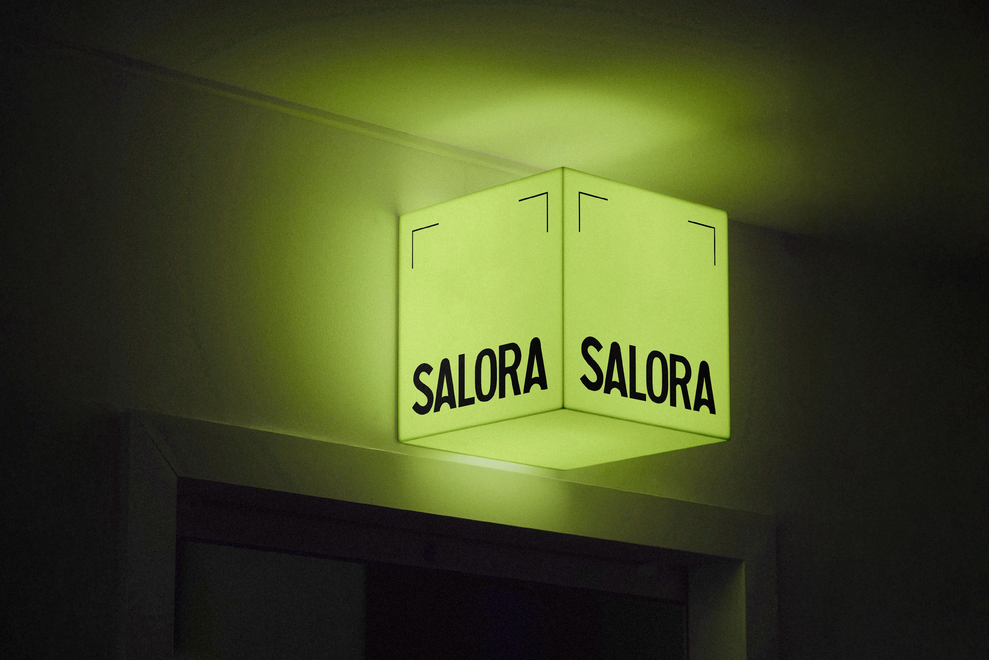 SALORA APP LOGO — Изображение №8 — Брендинг на Dprofile