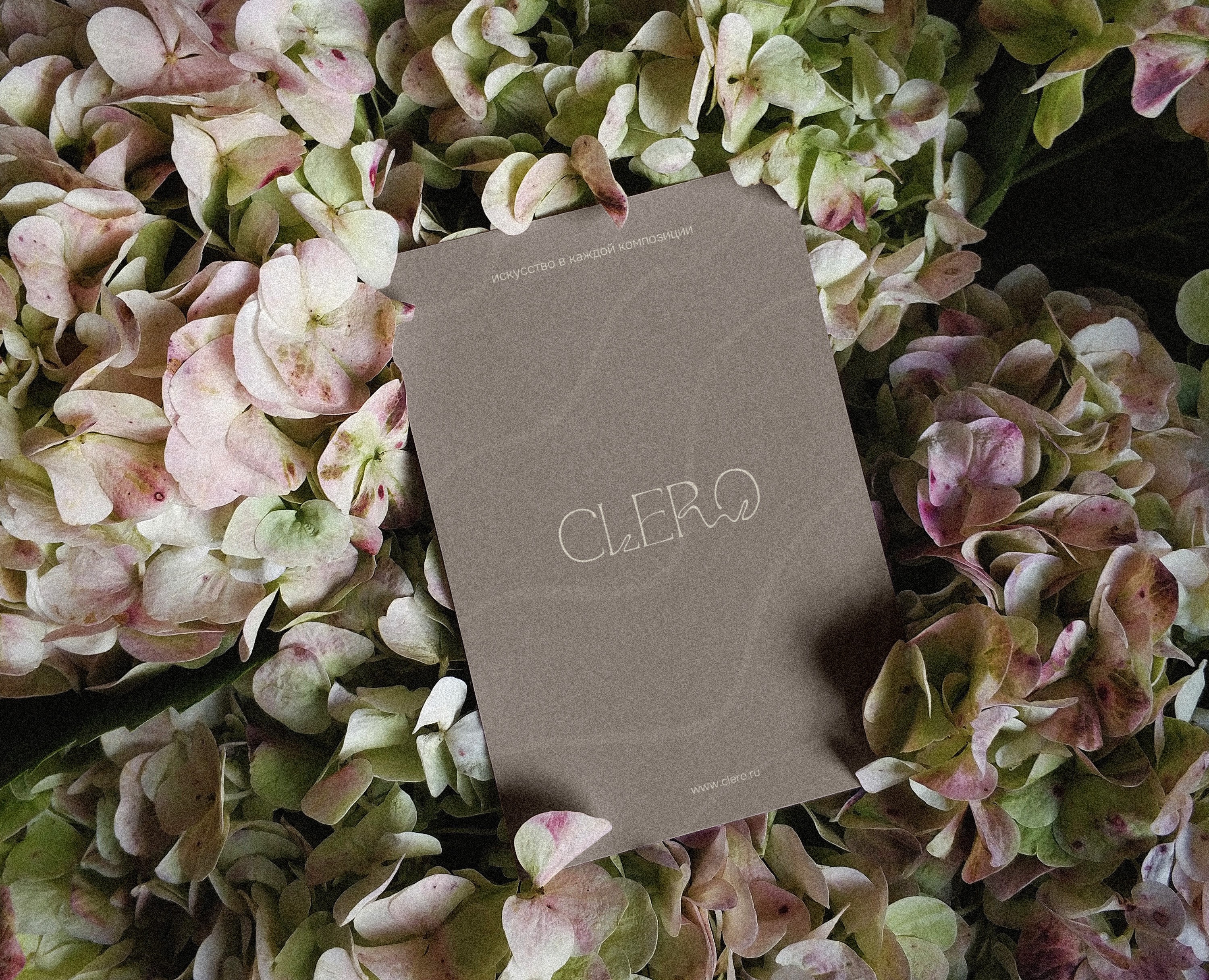 LOGO CLERO — Брендинг на Dprofile