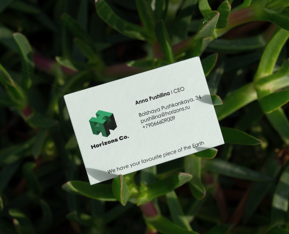 LOGO Horizons Co. — Брендинг на Dprofile