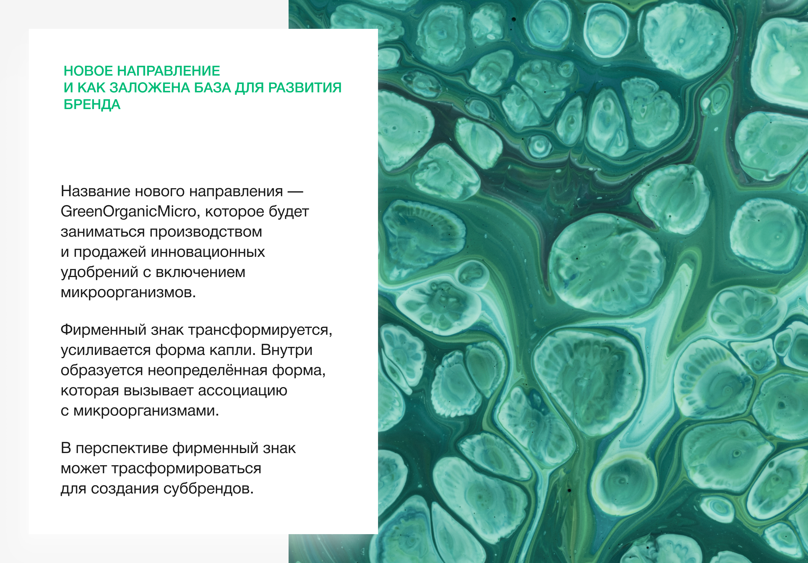 GreenOrganic / Производство удобрений / Айдентика — Изображение №12 — Брендинг на Dprofile
