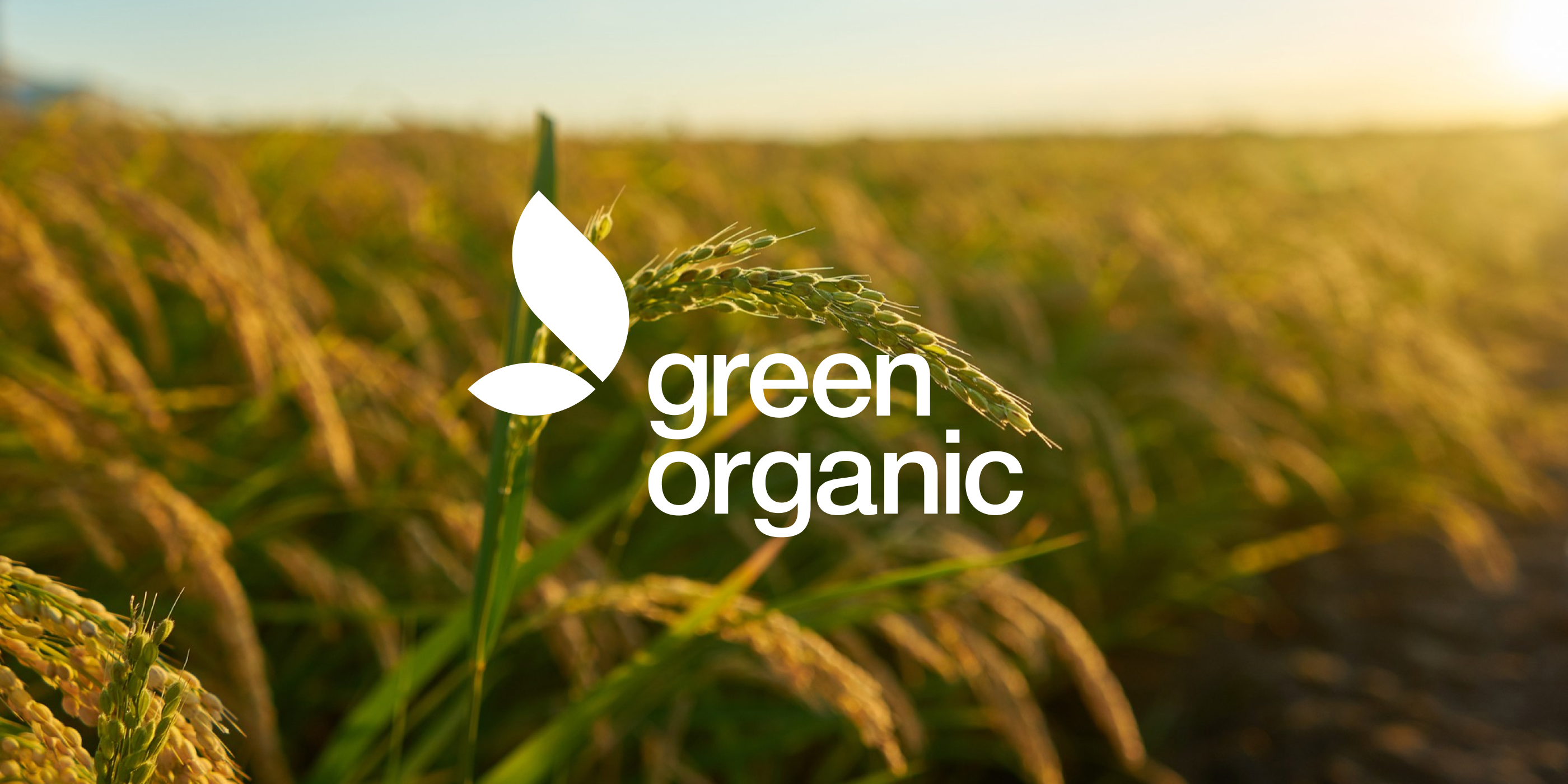 GreenOrganic / Производство удобрений / Айдентика — Изображение №1 — Брендинг на Dprofile