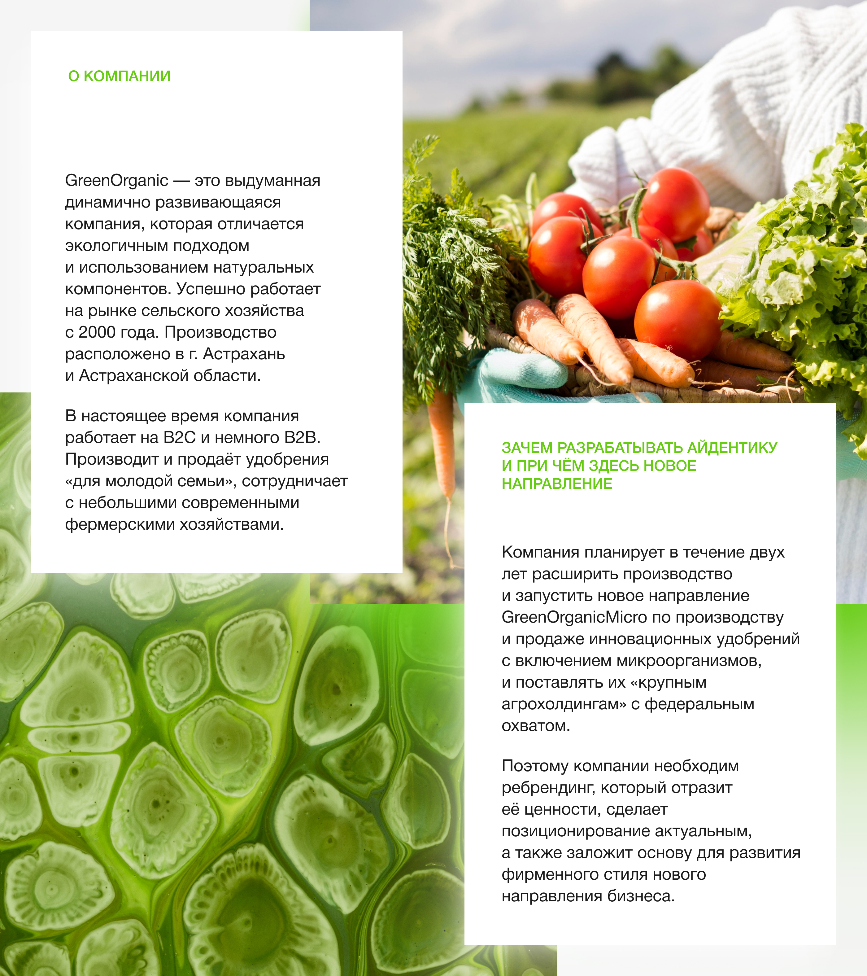 GreenOrganic / Производство удобрений / Айдентика — Изображение №3 — Брендинг на Dprofile