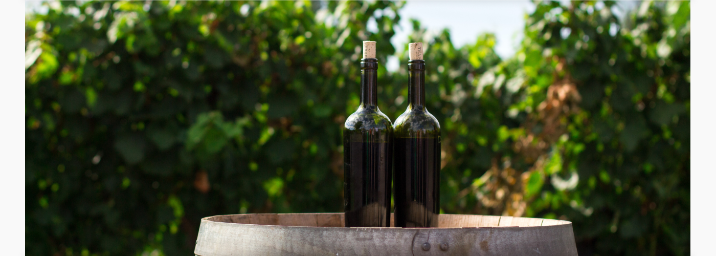 WineStyle | Интернет-магазин вина дизайн сайта — Изображение №3 — Интерфейсы на Dprofile