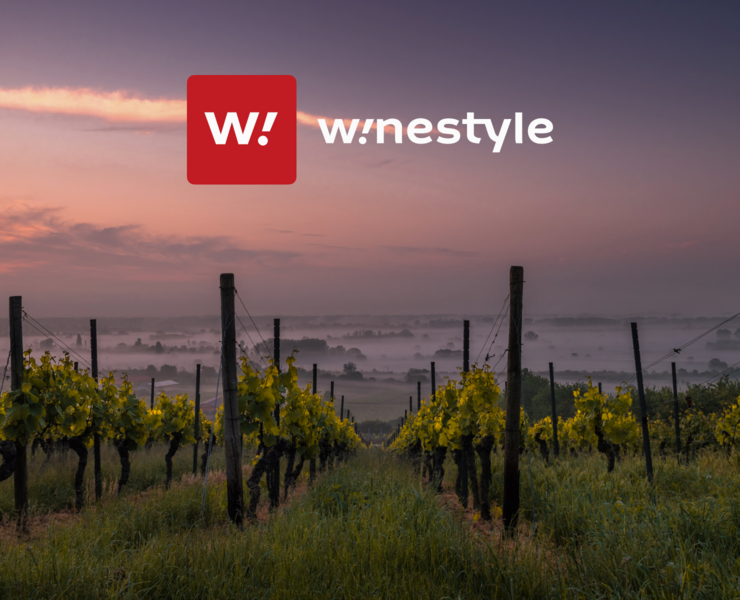 WineStyle | Интернет-магазин вина дизайн сайта — Интерфейсы на Dprofile