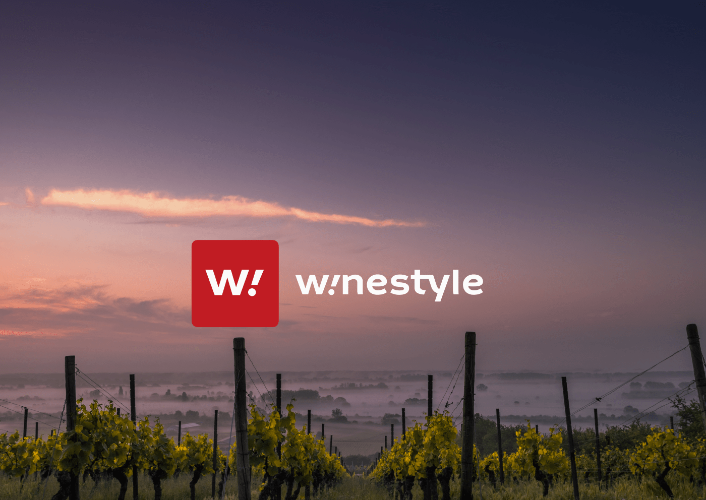 WineStyle | Интернет-магазин вина дизайн сайта — Изображение №1 — Интерфейсы на Dprofile