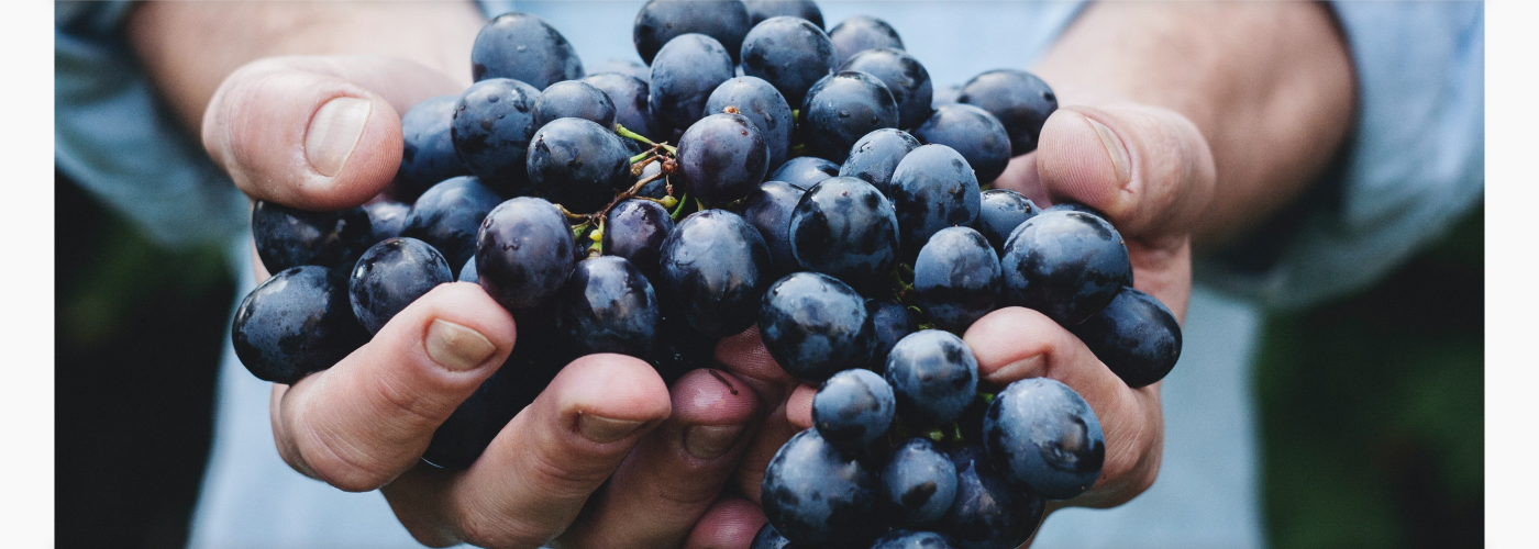 WineStyle | Интернет-магазин вина дизайн сайта — Изображение №7 — Интерфейсы на Dprofile