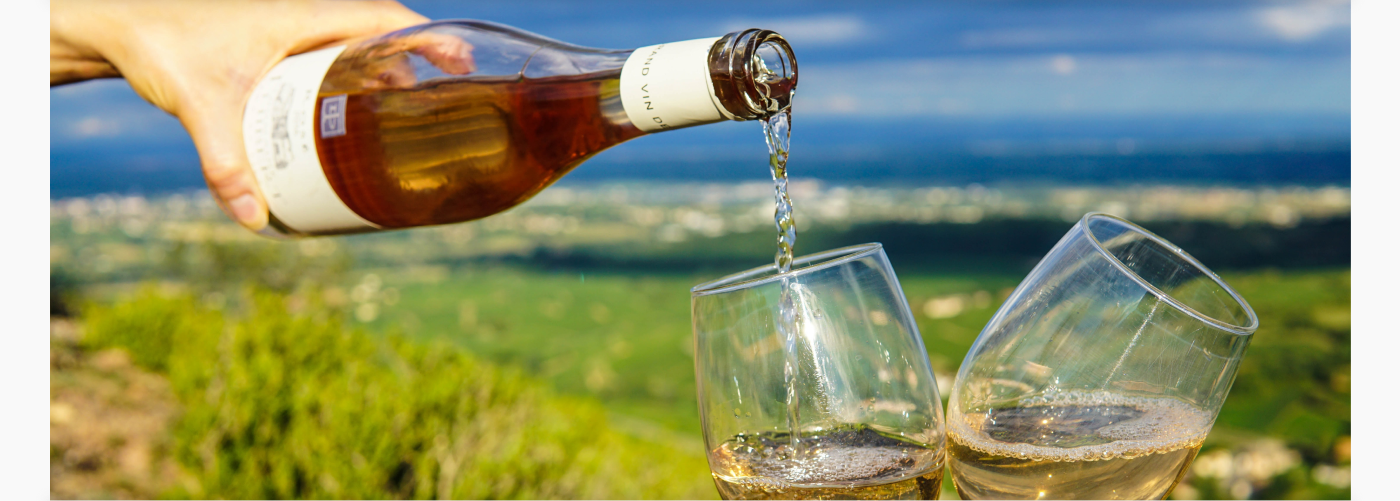 WineStyle | Интернет-магазин вина дизайн сайта — Изображение №5 — Интерфейсы на Dprofile