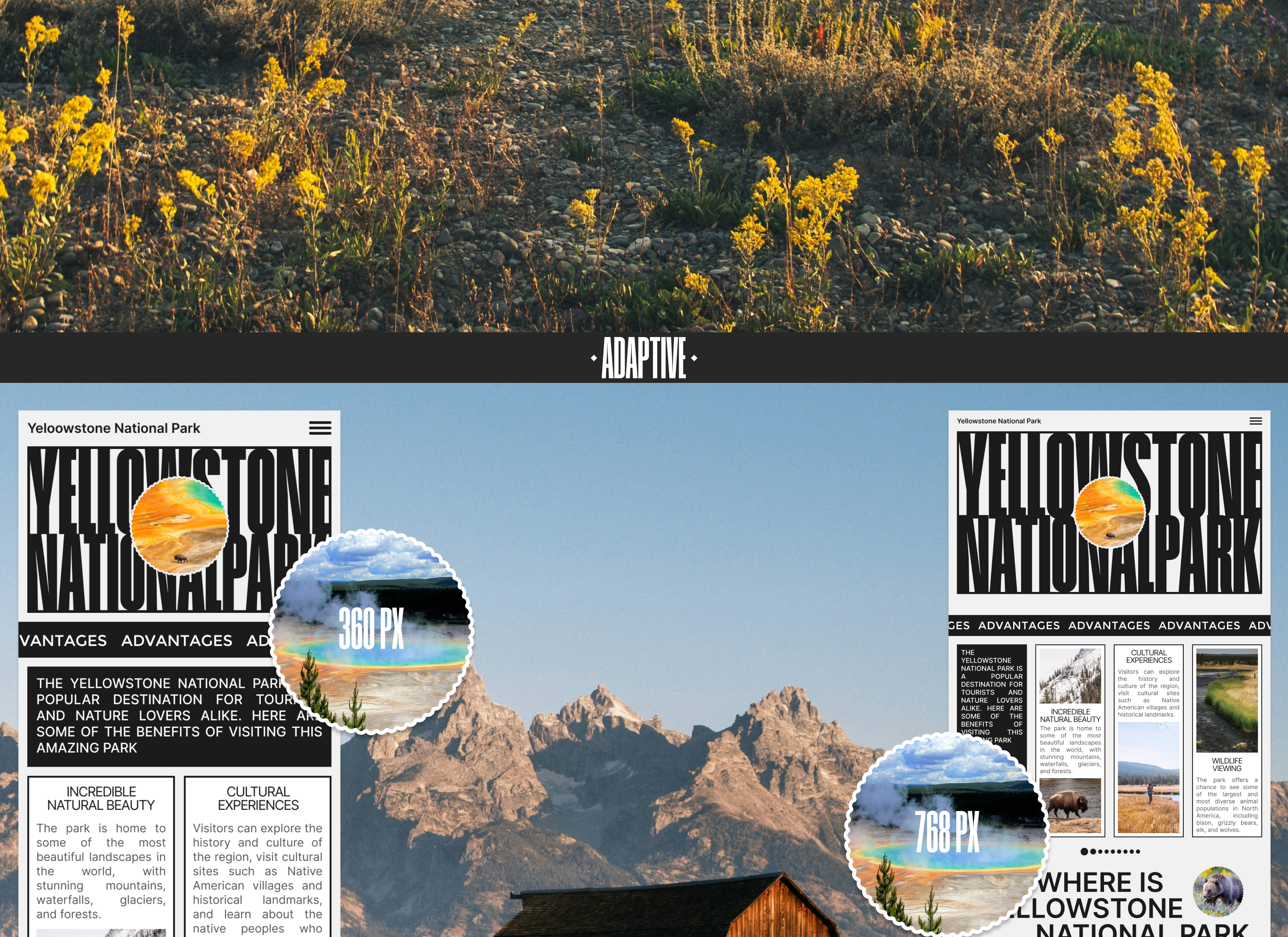 YELLOWSTONE NATIPNAL PARK | LANDING PAGE REDESIGN — Изображение №8 — Интерфейсы, Брендинг на Dprofile