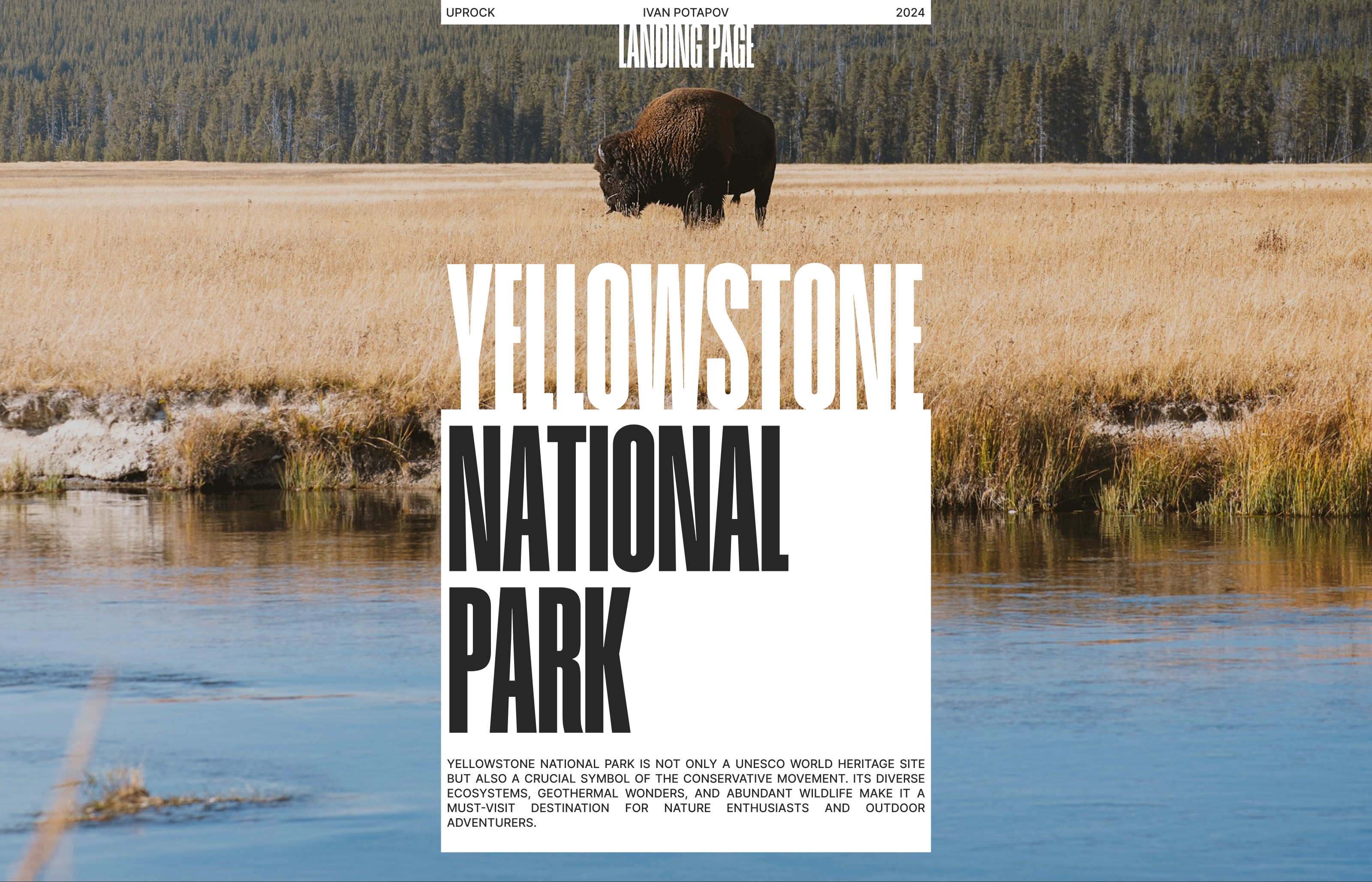 YELLOWSTONE NATIPNAL PARK | LANDING PAGE REDESIGN — Изображение №1 — Интерфейсы, Брендинг на Dprofile