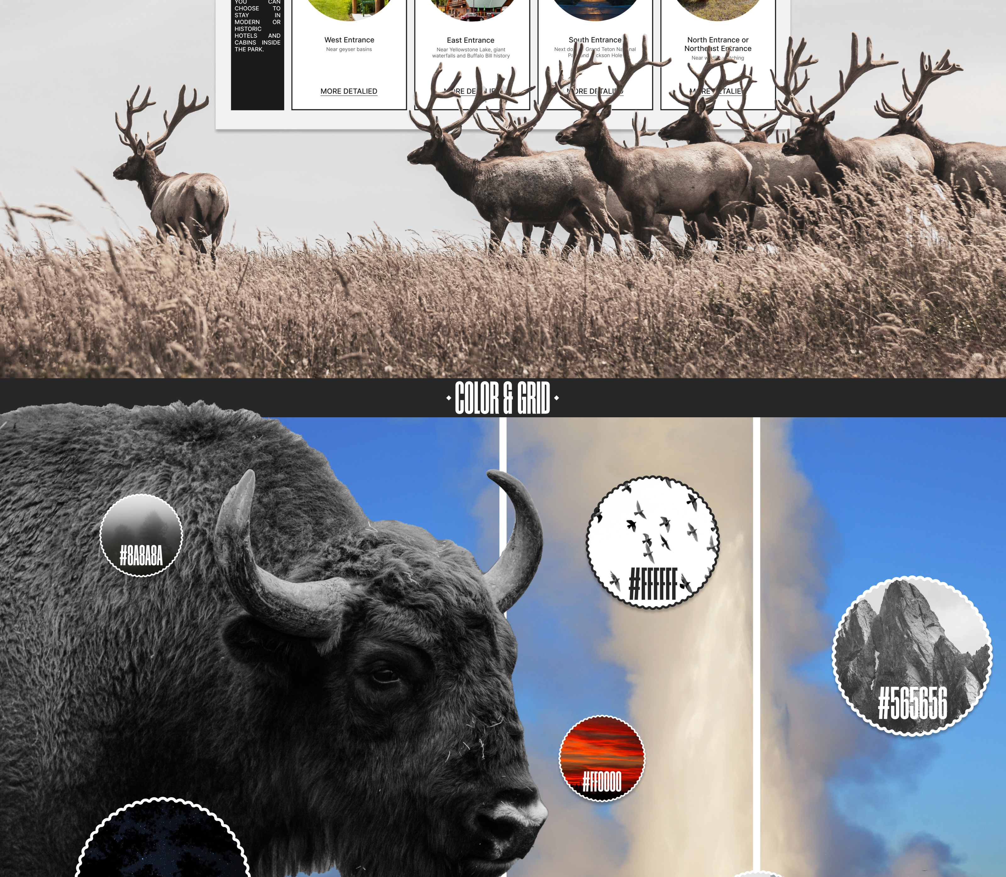 YELLOWSTONE NATIPNAL PARK | LANDING PAGE REDESIGN — Изображение №5 — Интерфейсы, Брендинг на Dprofile