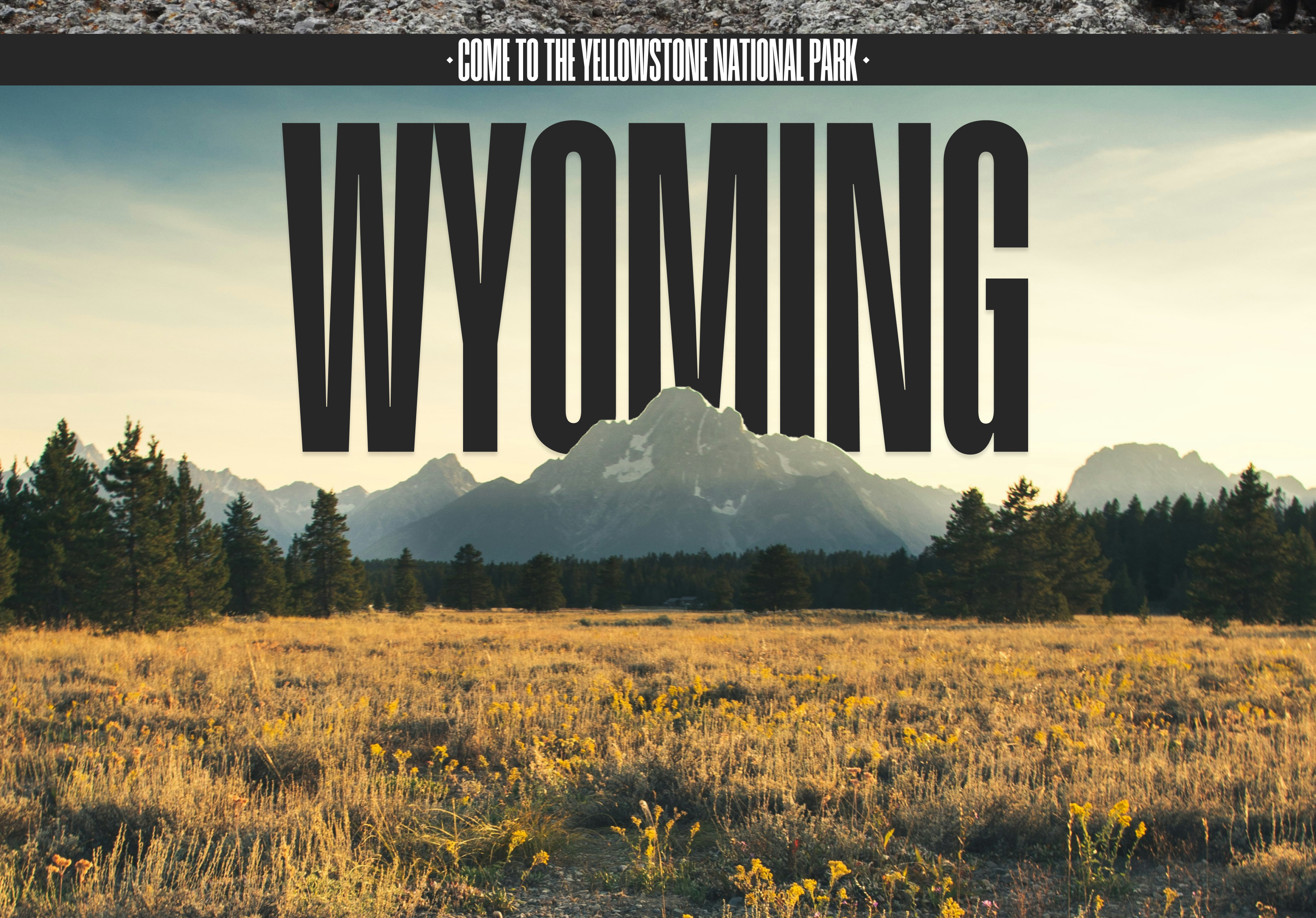 YELLOWSTONE NATIPNAL PARK | LANDING PAGE REDESIGN — Изображение №7 — Интерфейсы, Брендинг на Dprofile