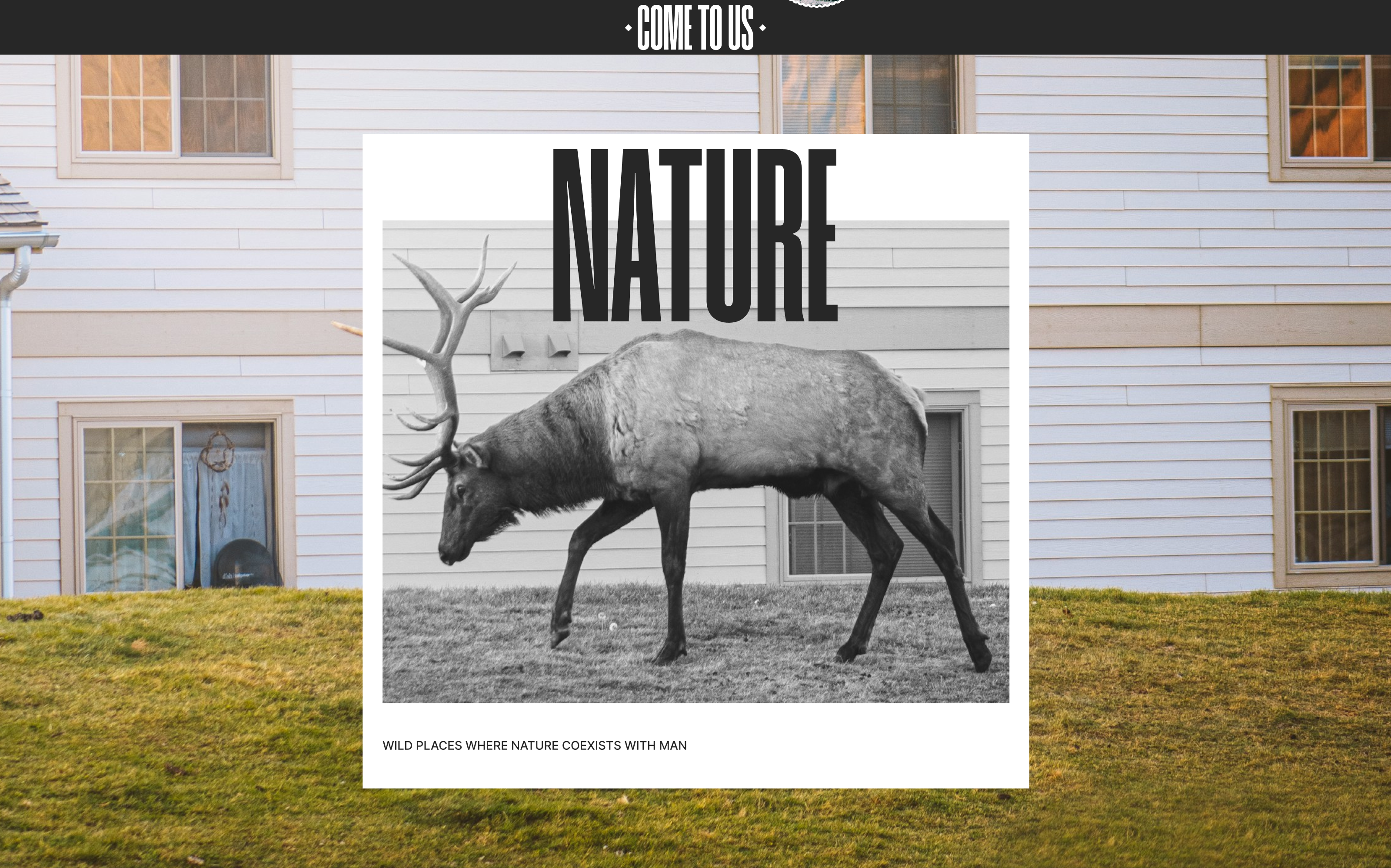 YELLOWSTONE NATIPNAL PARK | LANDING PAGE REDESIGN — Изображение №3 — Интерфейсы, Брендинг на Dprofile