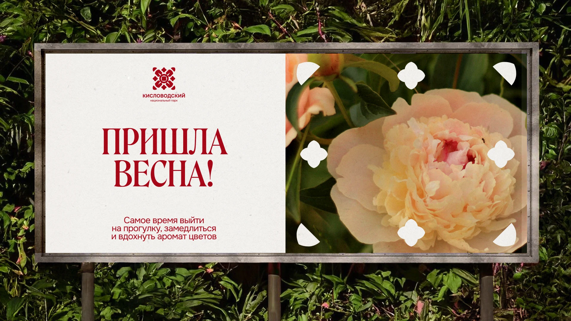Кисловодский парк | Ребрендинг — Изображение №5 — Брендинг на Dprofile