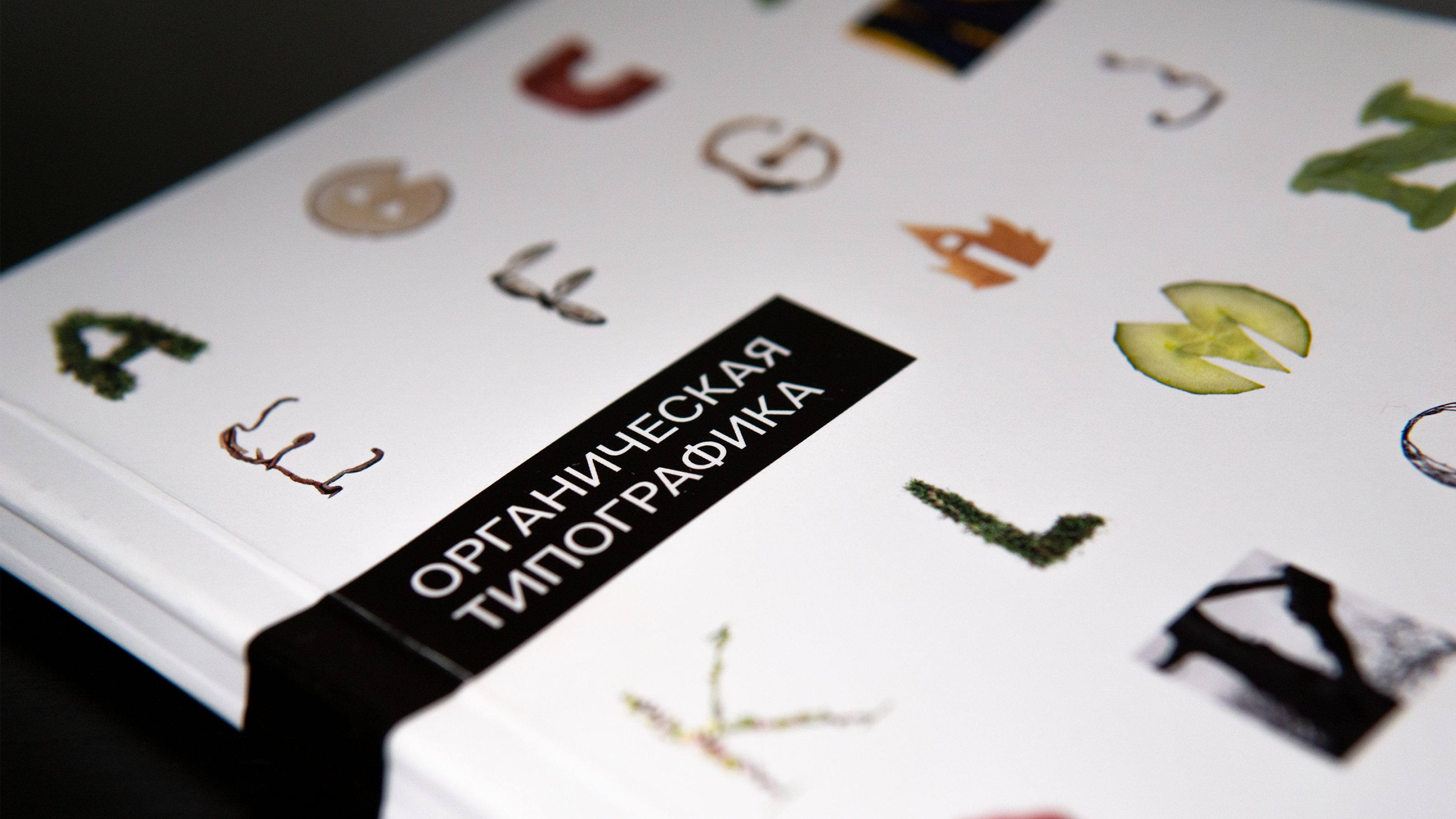 Органическая типографика | Книга — Изображение №7 — Графика на Dprofile