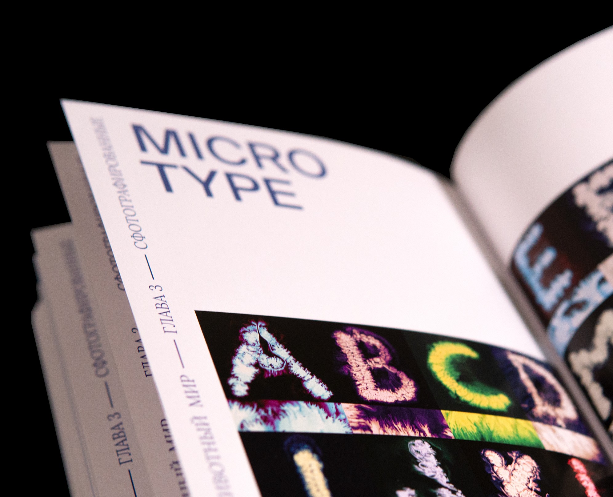 Органическая типографика | Книга — Графика на Dprofile