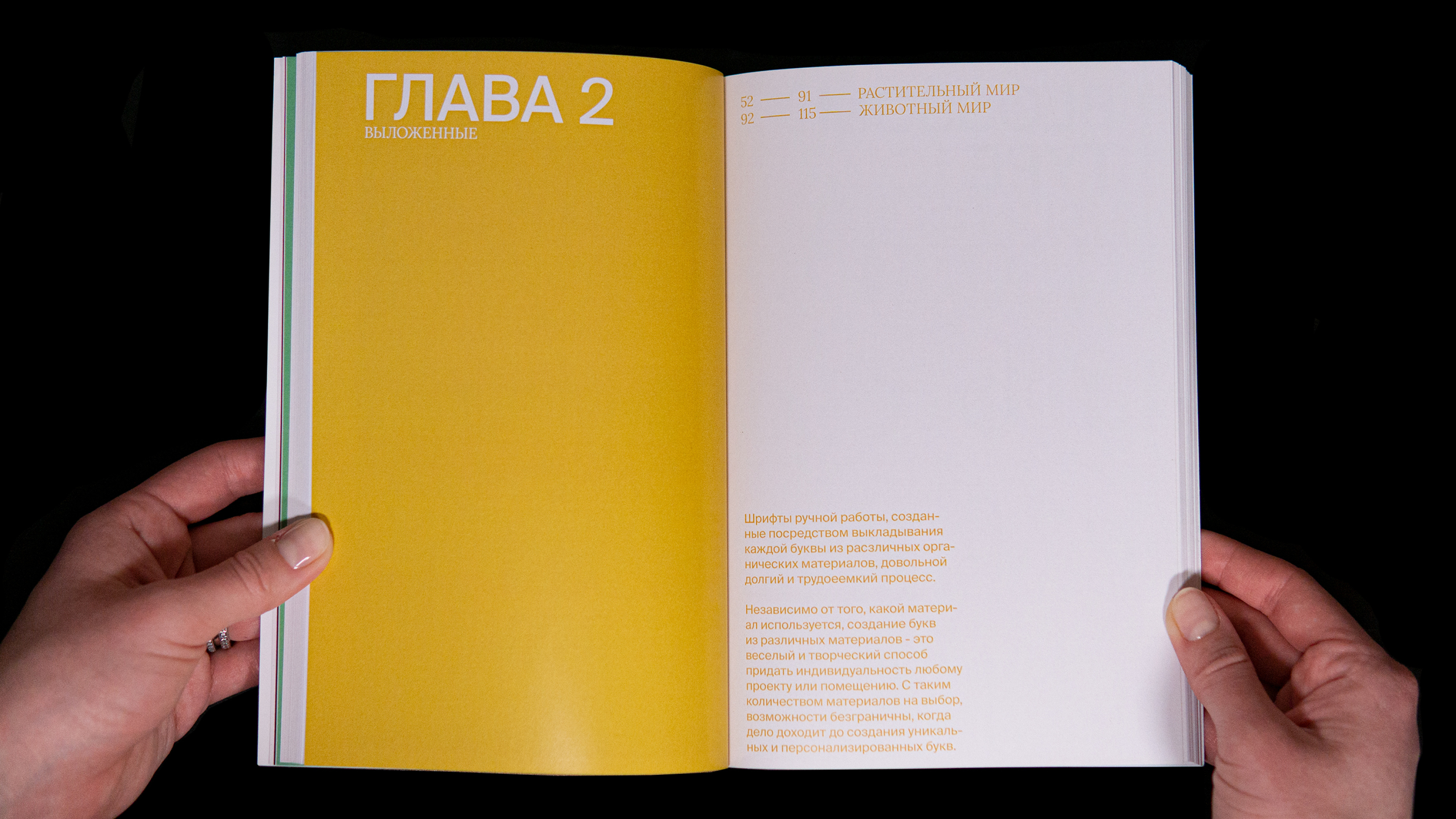Органическая типографика | Книга — Изображение №16 — Графика на Dprofile