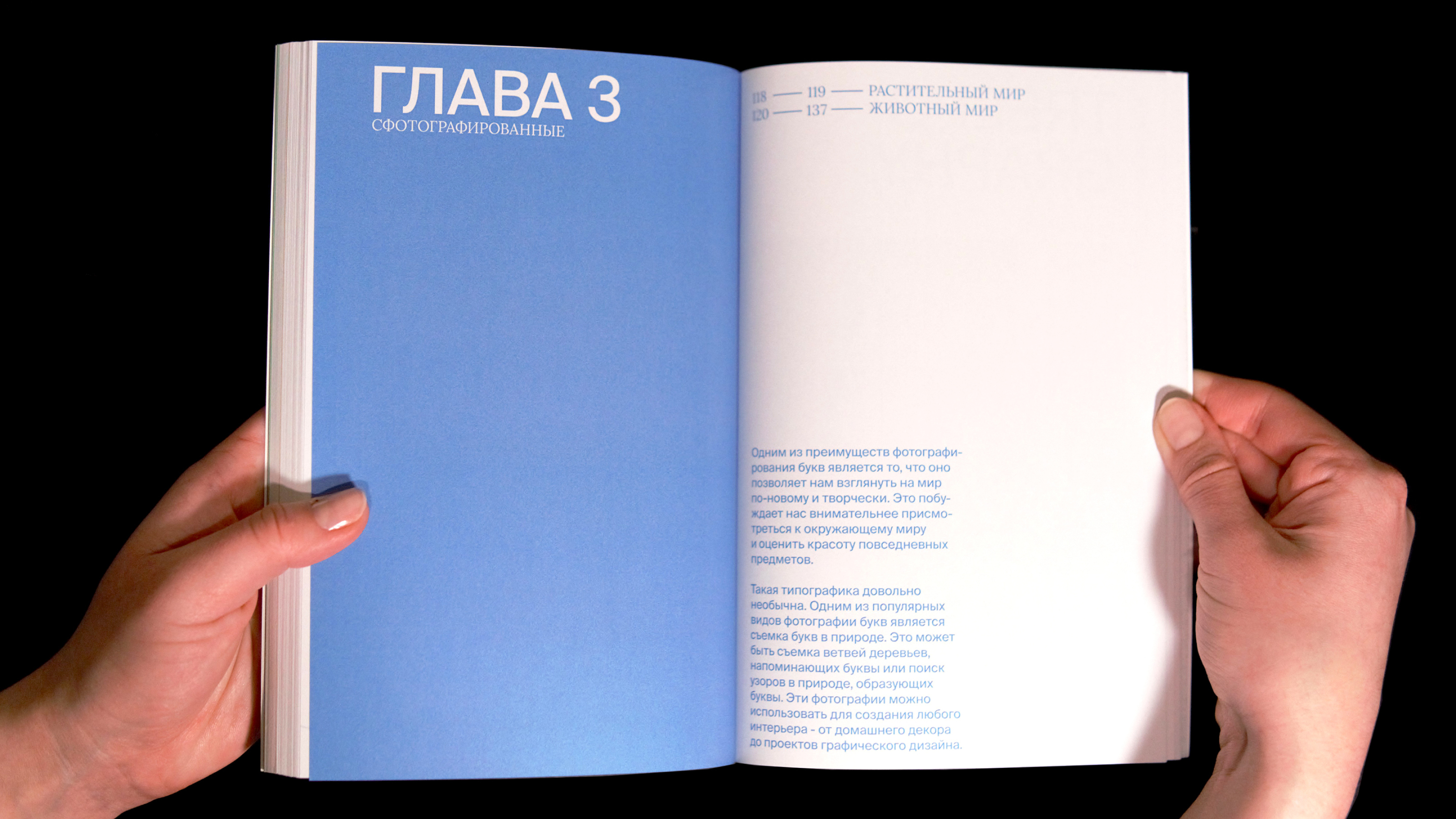 Органическая типографика | Книга — Изображение №23 — Графика на Dprofile