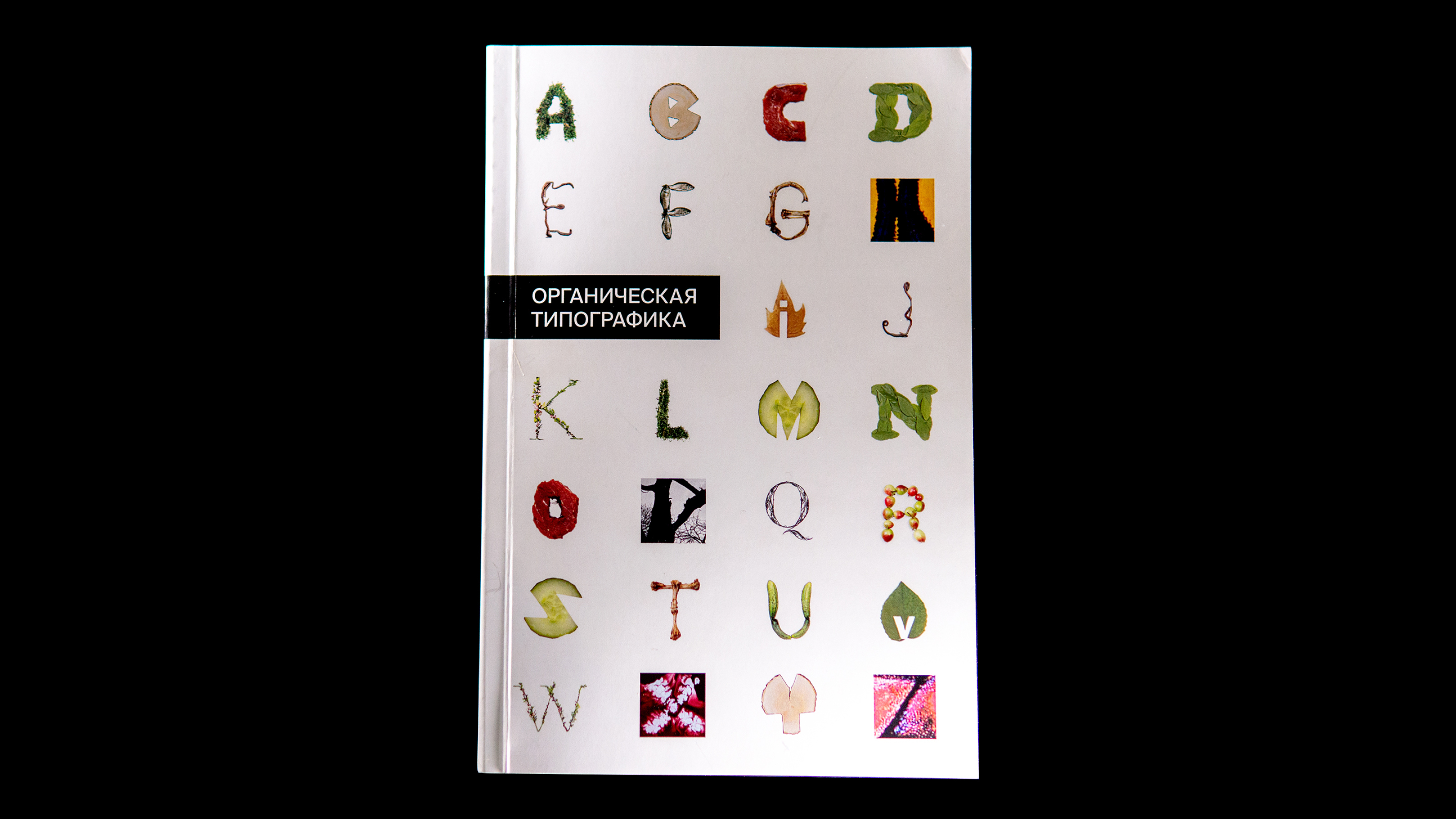 Органическая типографика | Книга — Изображение №6 — Графика на Dprofile