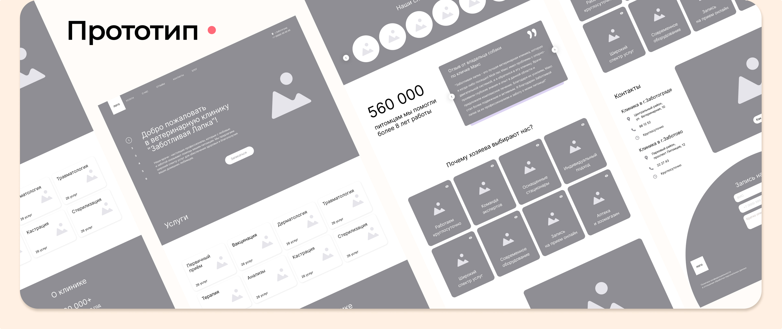 Landing concept of a veterinary clinic — Изображение №4 — Интерфейсы на Dprofile