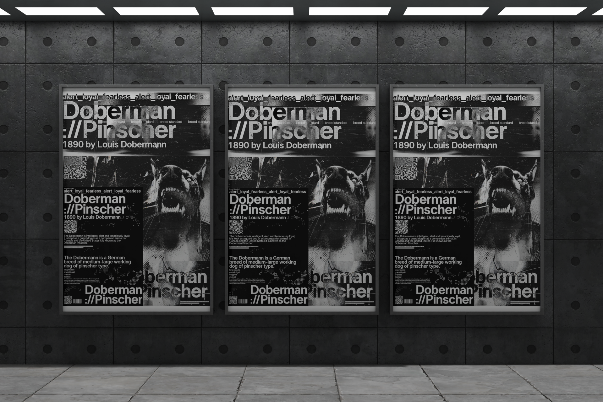 Poster Collection | Doberman Pinscher — Изображение №5 — Графика на Dprofile
