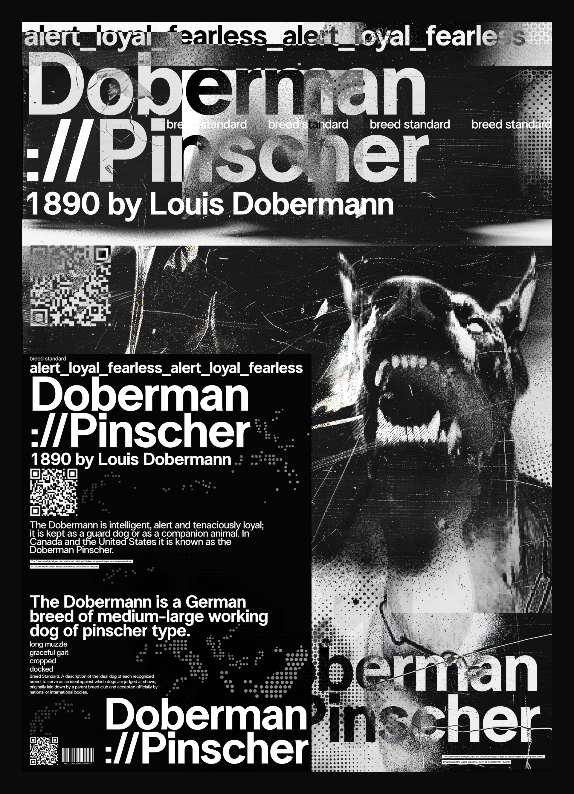 Poster Collection | Doberman Pinscher — Изображение №4 — Графика на Dprofile