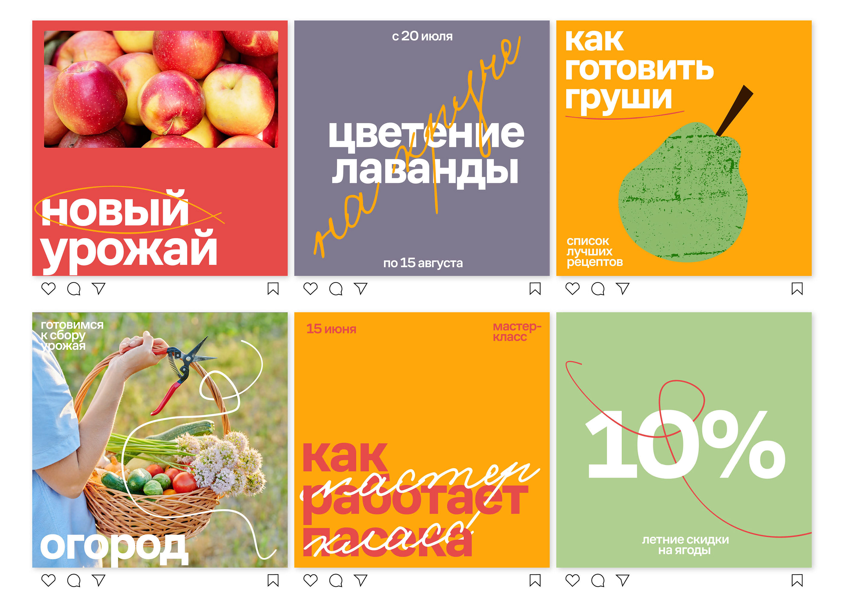 Семейная ферма «Круча» — Изображение №4 — Брендинг, Графика на Dprofile
