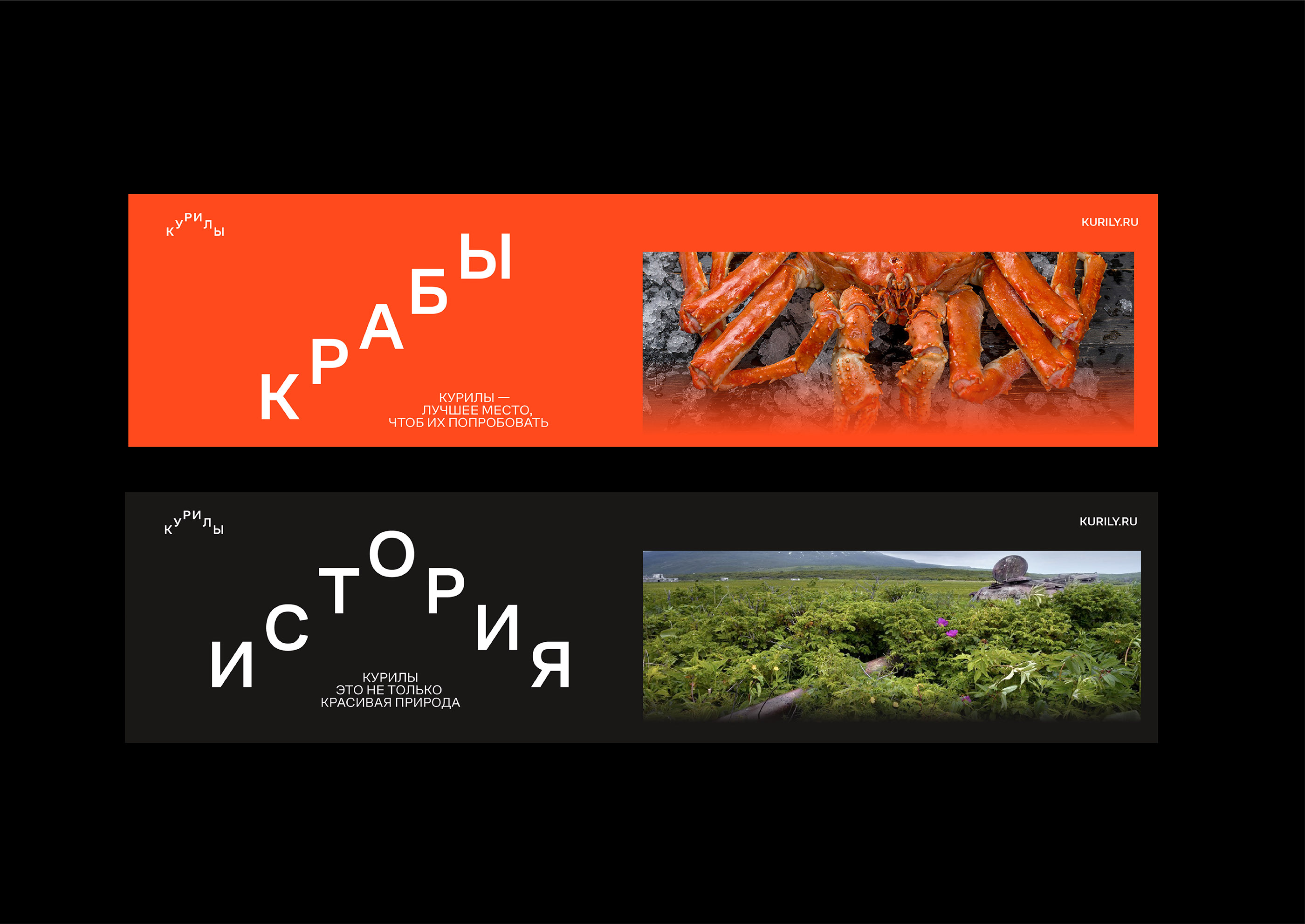 Территориальный брендинг Курильских Островов — Изображение №7 — Брендинг, Графика на Dprofile