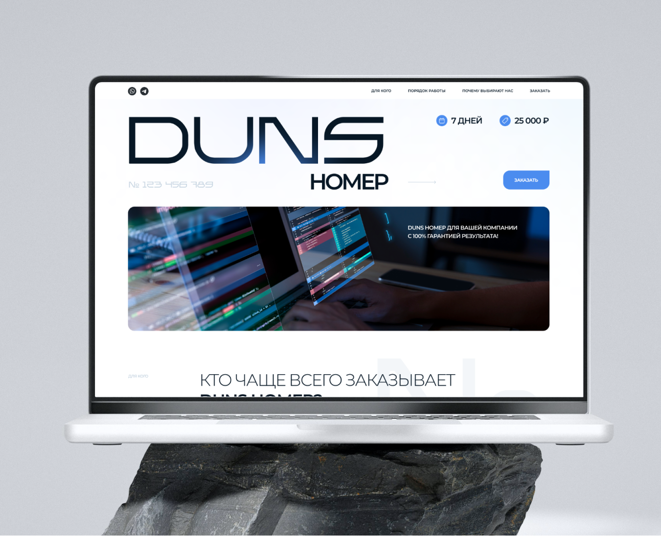 Дизайн лендинга DUNS number — Интерфейсы на Dprofile