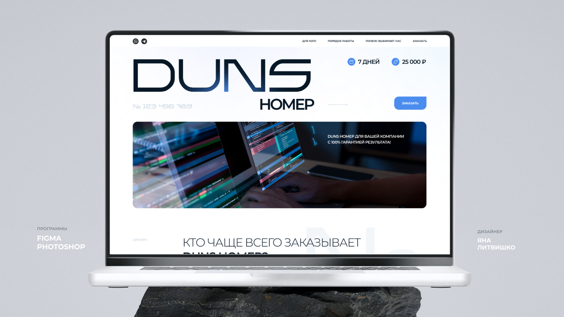 Дизайн лендинга DUNS number — Изображение №1 — Интерфейсы на Dprofile