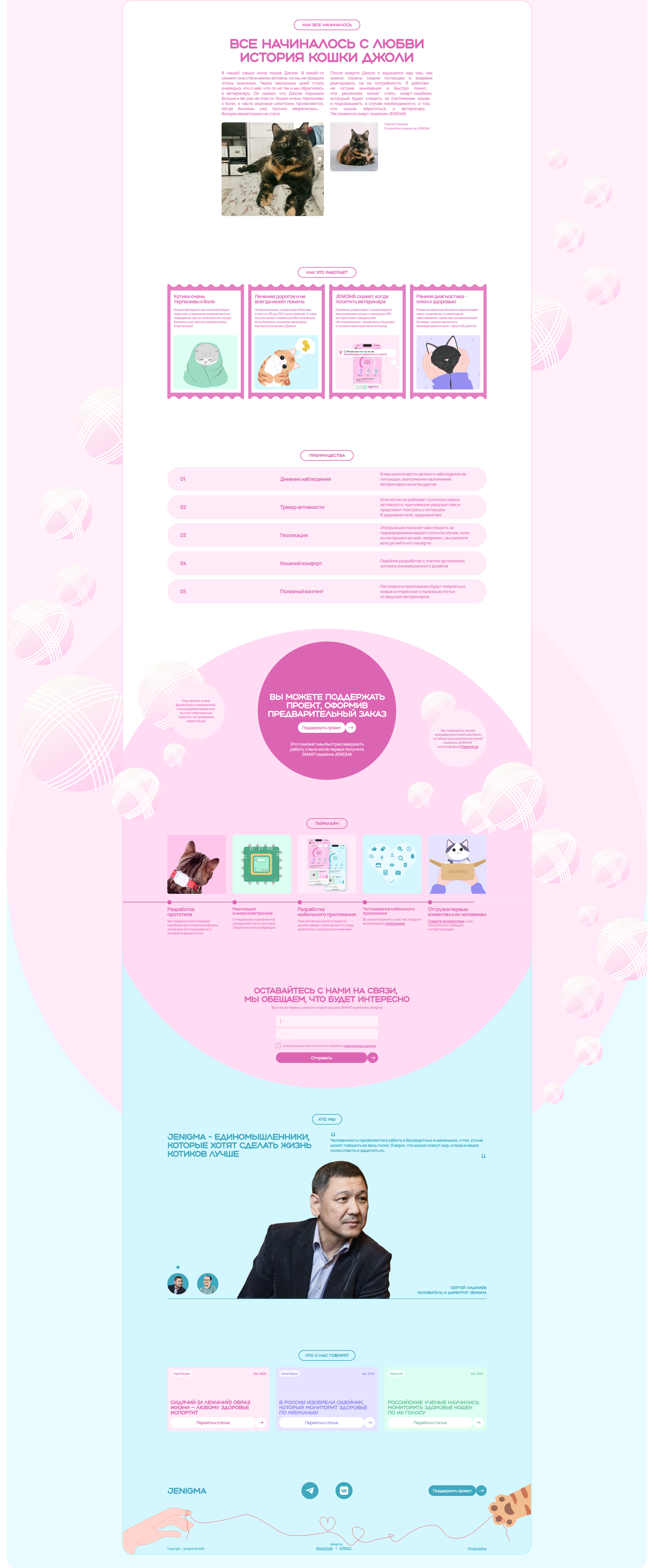 JENIGMA | STARTUP PACKAGING — Изображение №3 — Интерфейсы, Иллюстрация на Dprofile