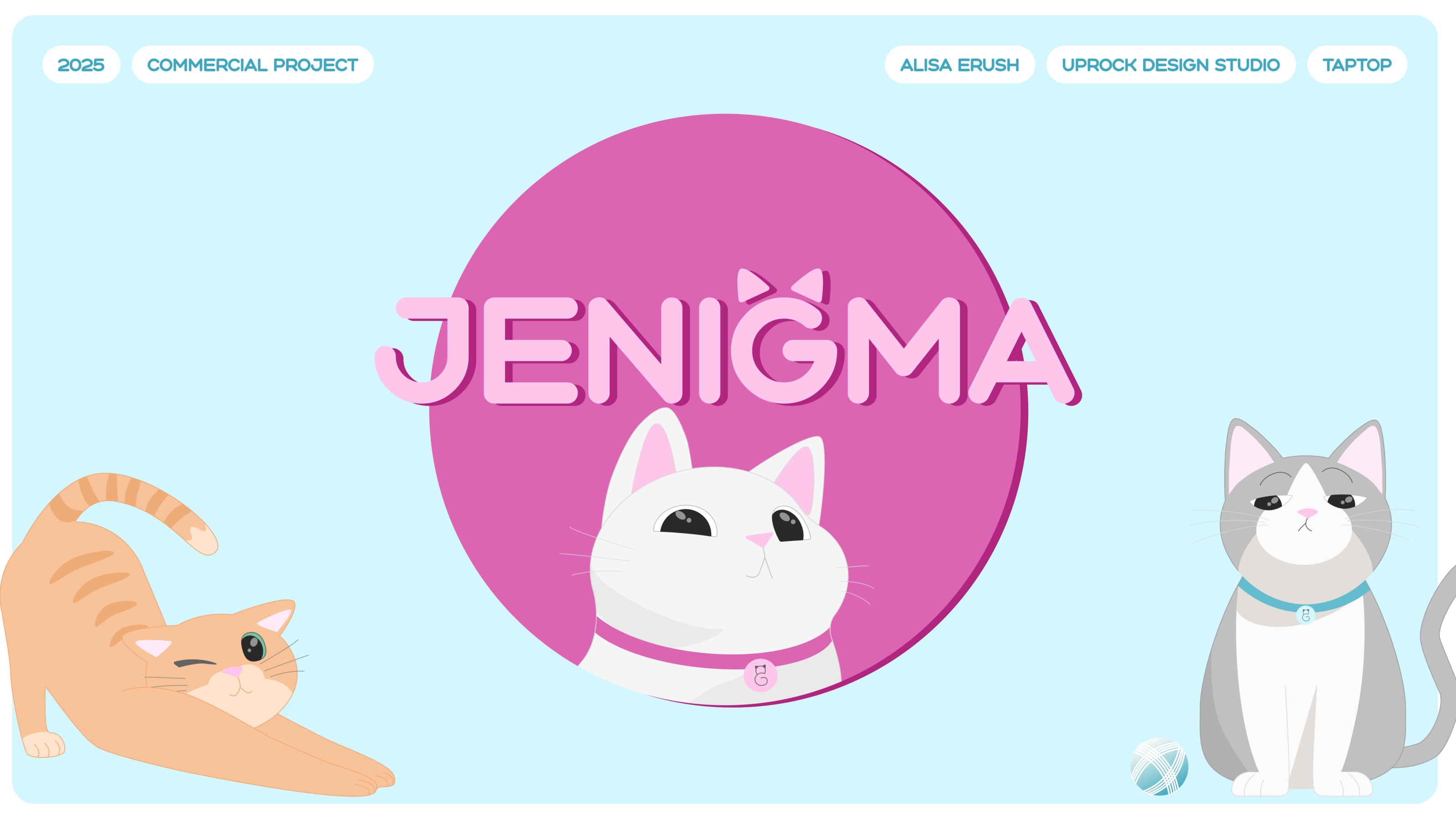 JENIGMA | STARTUP PACKAGING — Изображение №1 — Интерфейсы, Иллюстрация на Dprofile