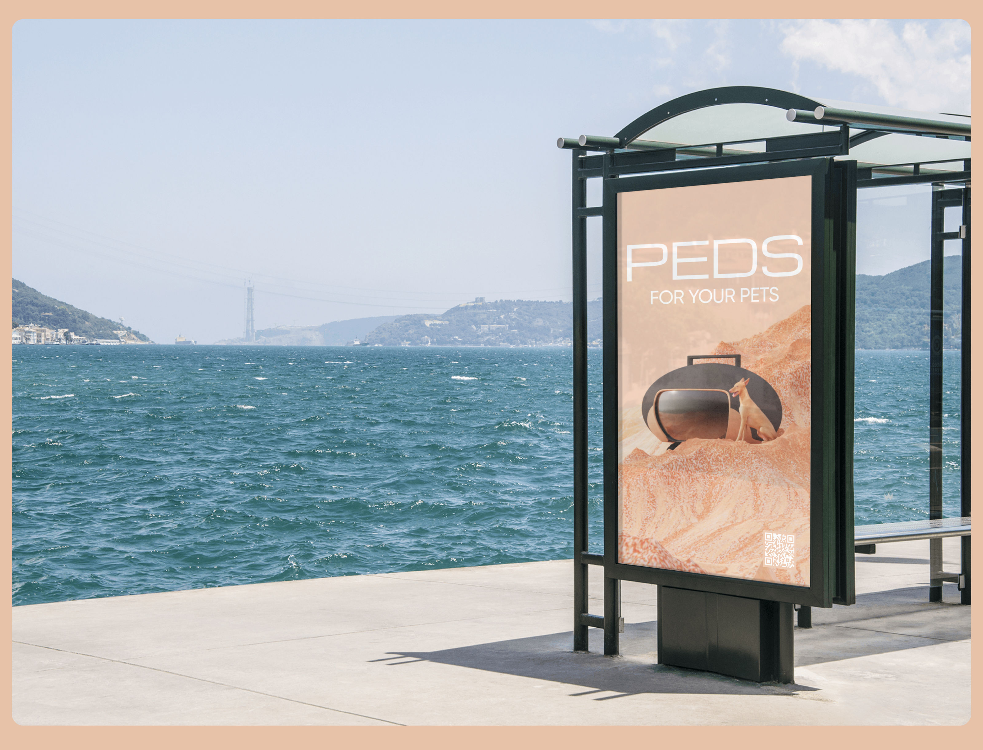 PEDS | 3D-продукт, лендинг — Изображение №5 — Интерфейсы, 3D на Dprofile