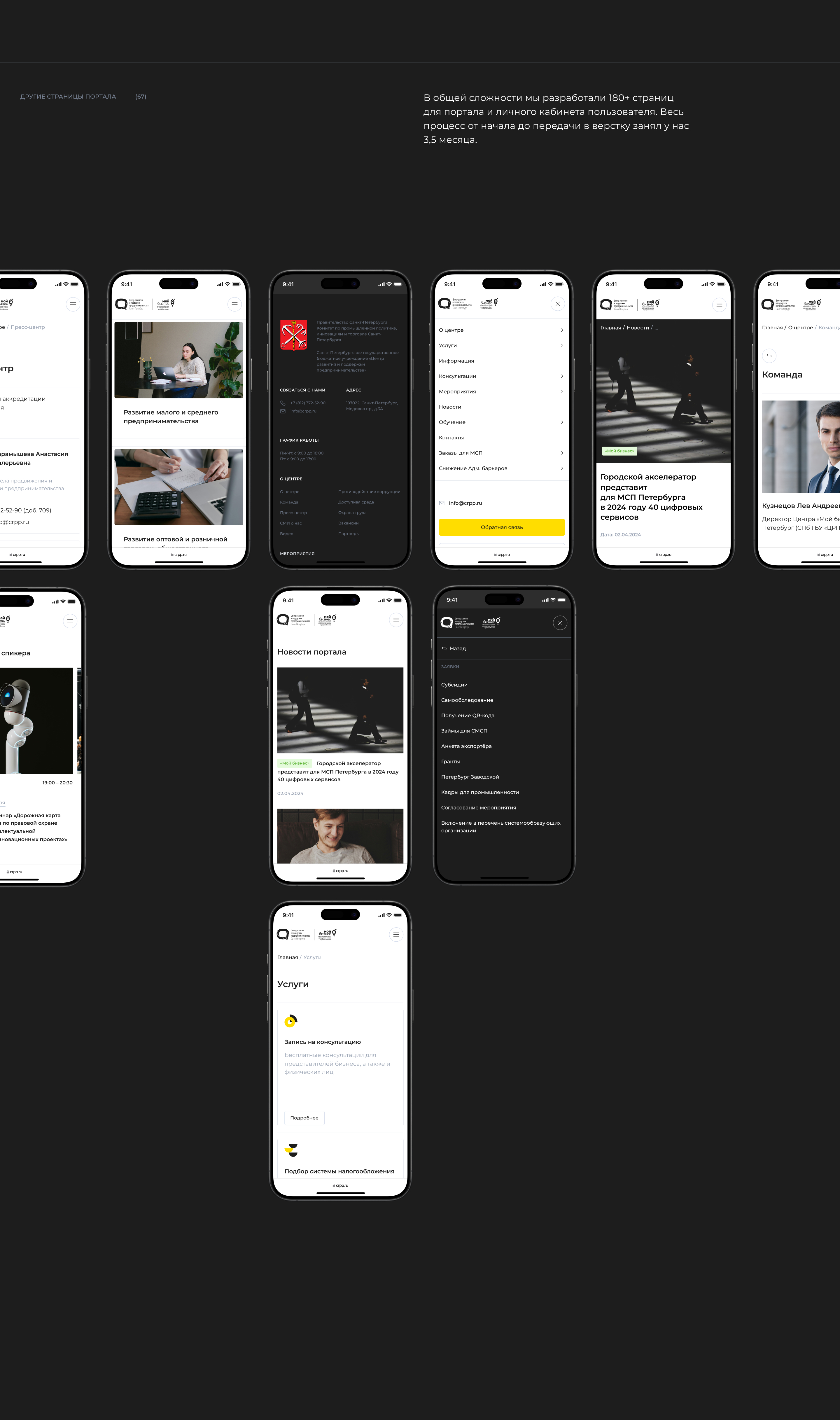 Центр развития предпринимательства Санкт-Петербурга, crpp.ru — Изображение №18 — Интерфейсы на Dprofile