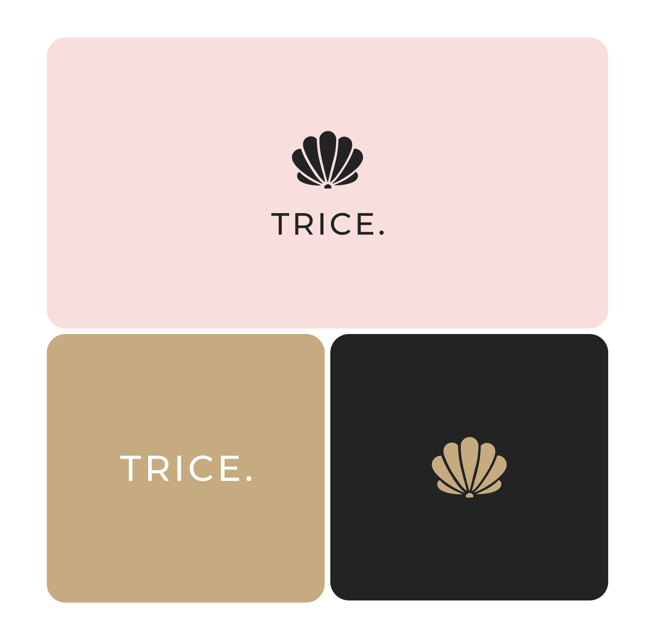 Trice. Skincare Brand. — Изображение №10 — Брендинг на Dprofile