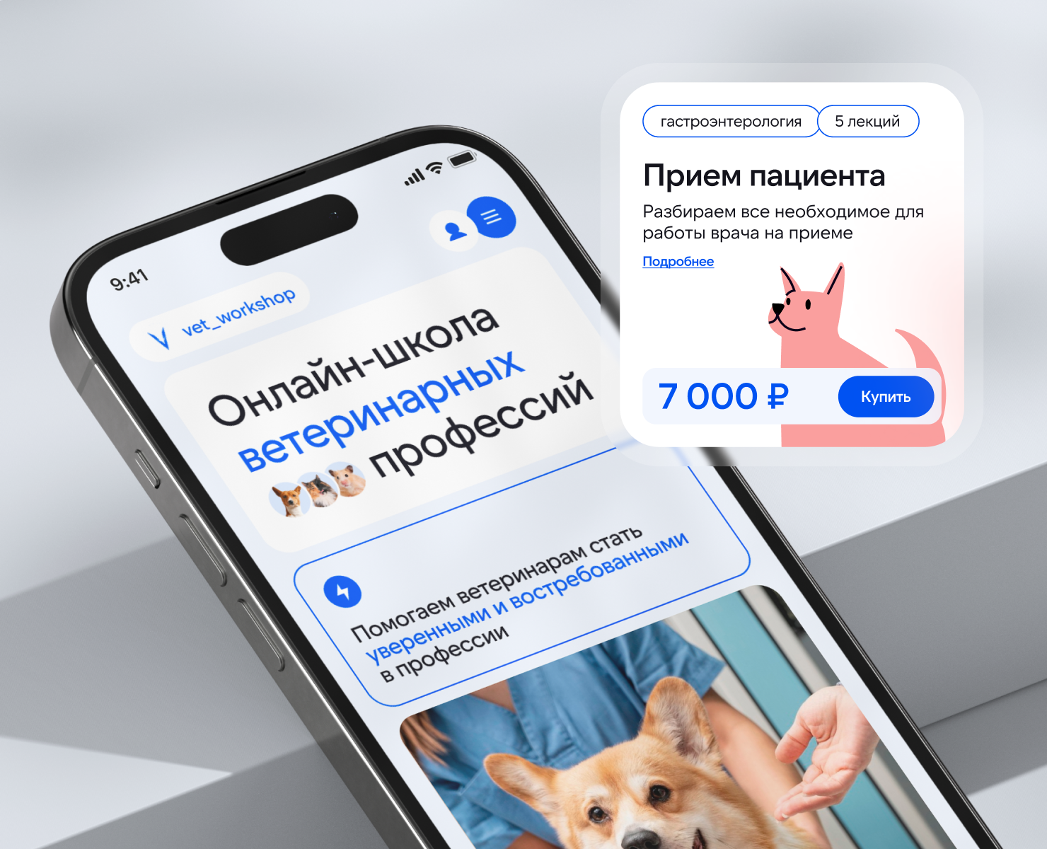 Онлайн-школа ветеринаров — Интерфейсы, Маркетинг на Dprofile